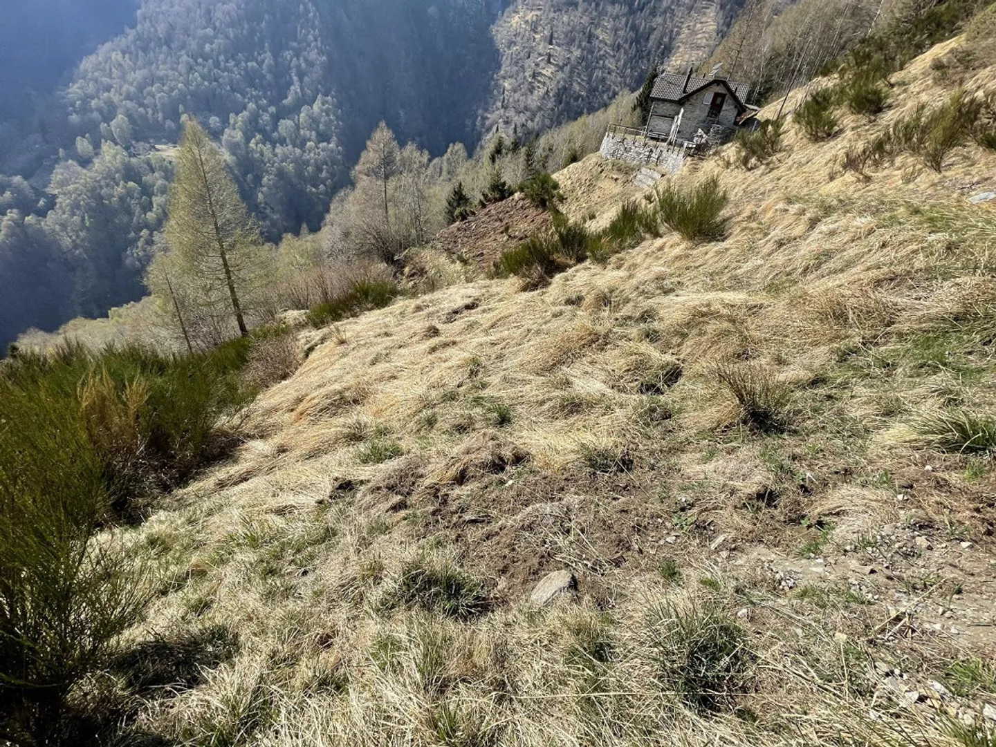 Rustique de 4 1/2 pièces avec un grand terrain de 12 000 m2 à Sassello - Photo 21 sur 28
