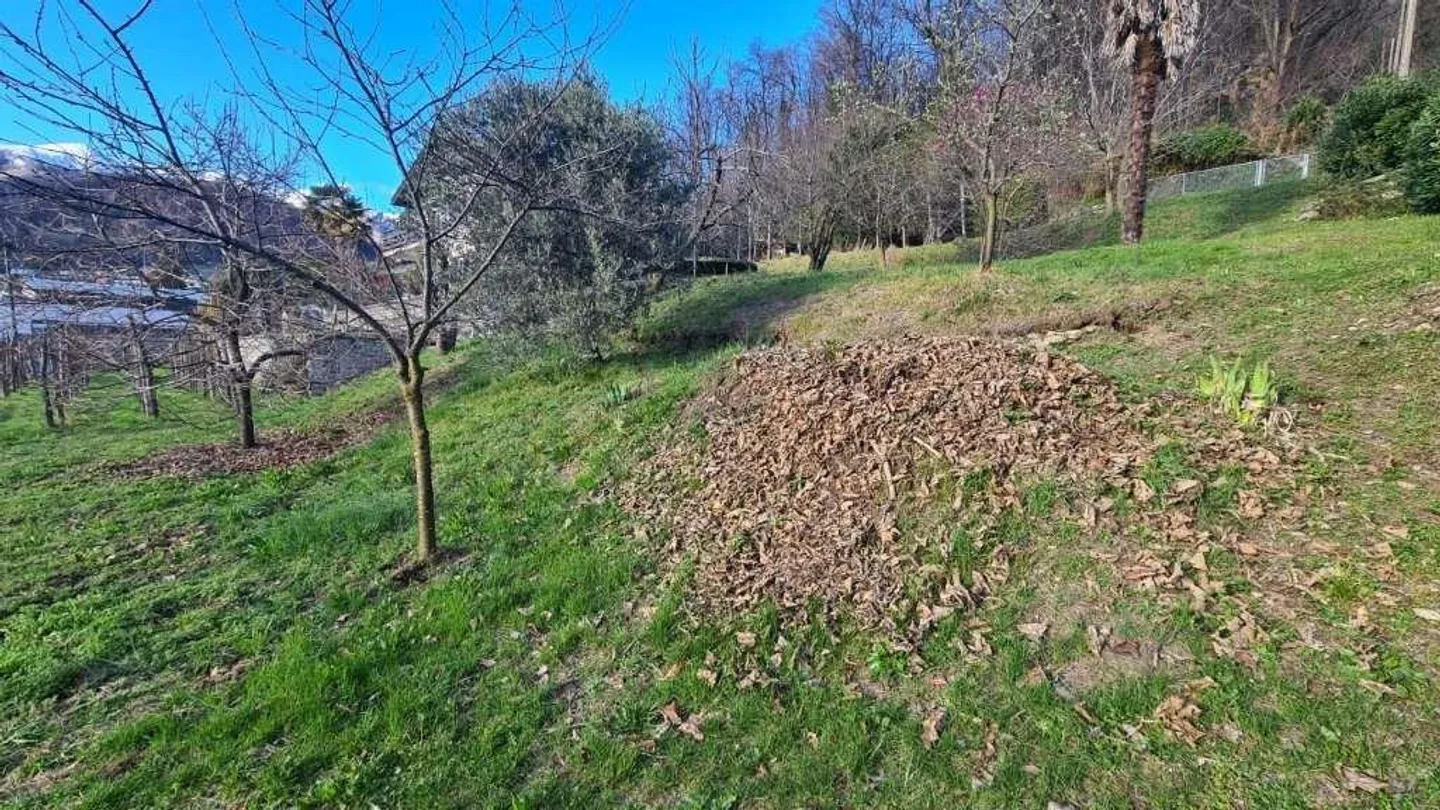 Terreno edificabile in posizione panoramica: Curio - Foto 3 di 4