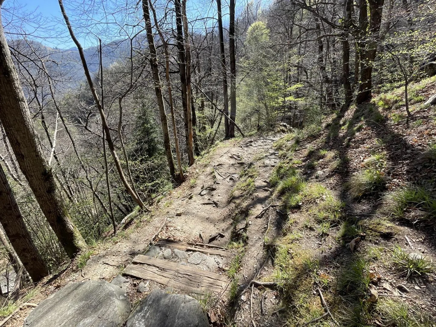 Rustique de 4 1/2 pièces avec un grand terrain de 12 000 m2 à Sassello - Photo 24 sur 28