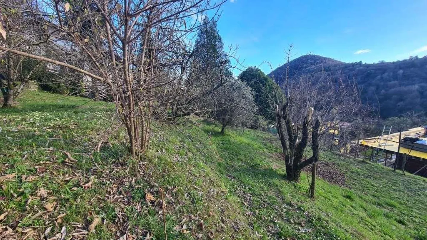 Terreno edificabile in posizione panoramica: Curio - Foto 1 di 4