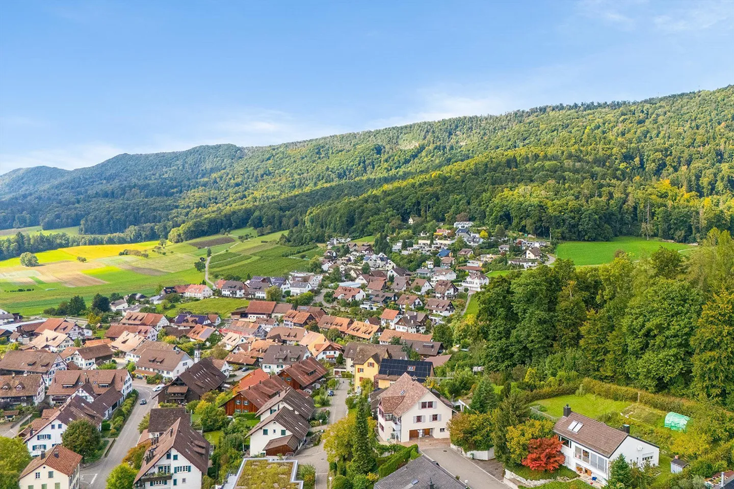 Confine del bosco e natura: Casa maestosa con appartamento - Foto 25 di 29