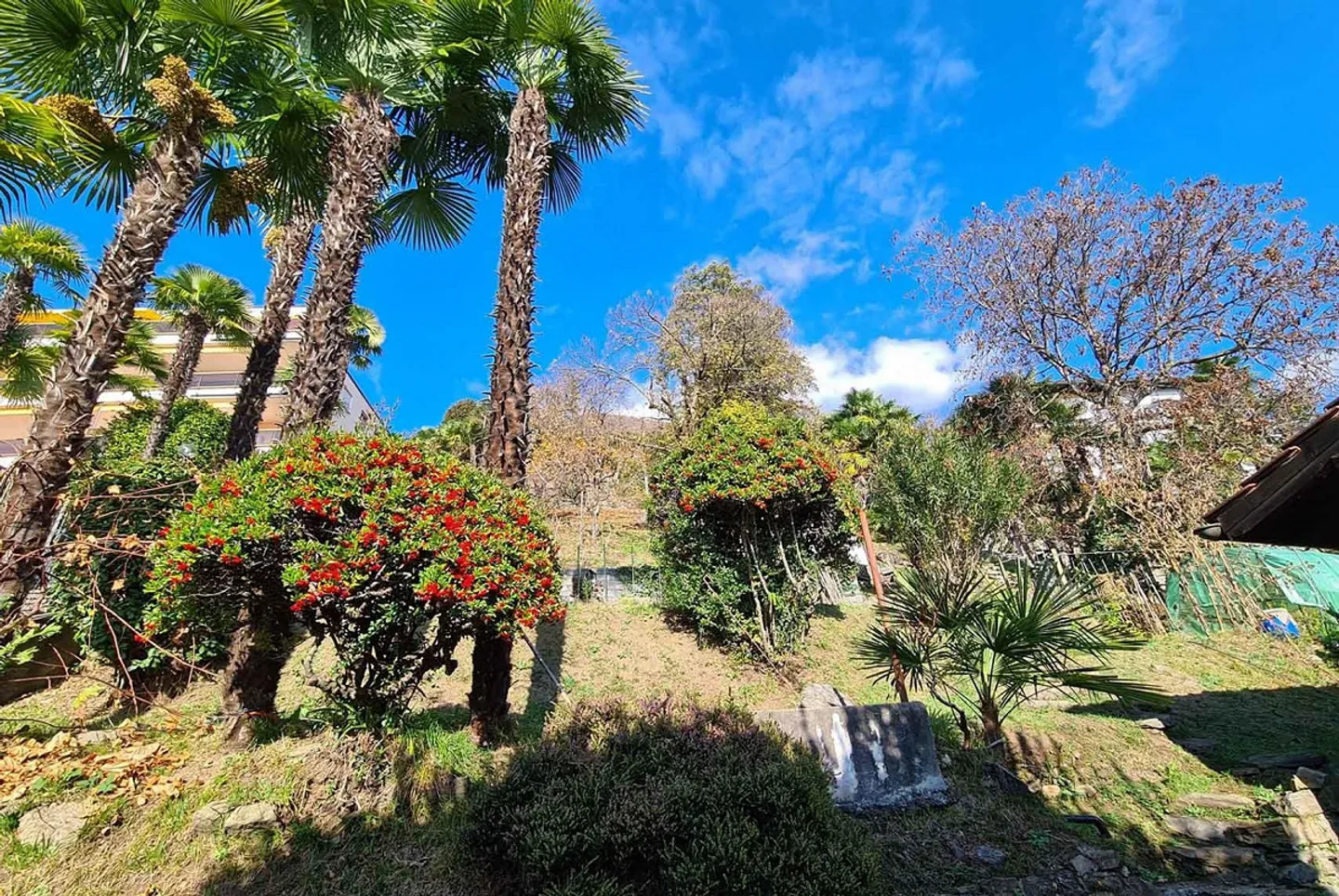 BARGAIN - LARGE BUILDABLE LAND WITH LAKE VIEW IN LOCARNO - Photo 3 of 5