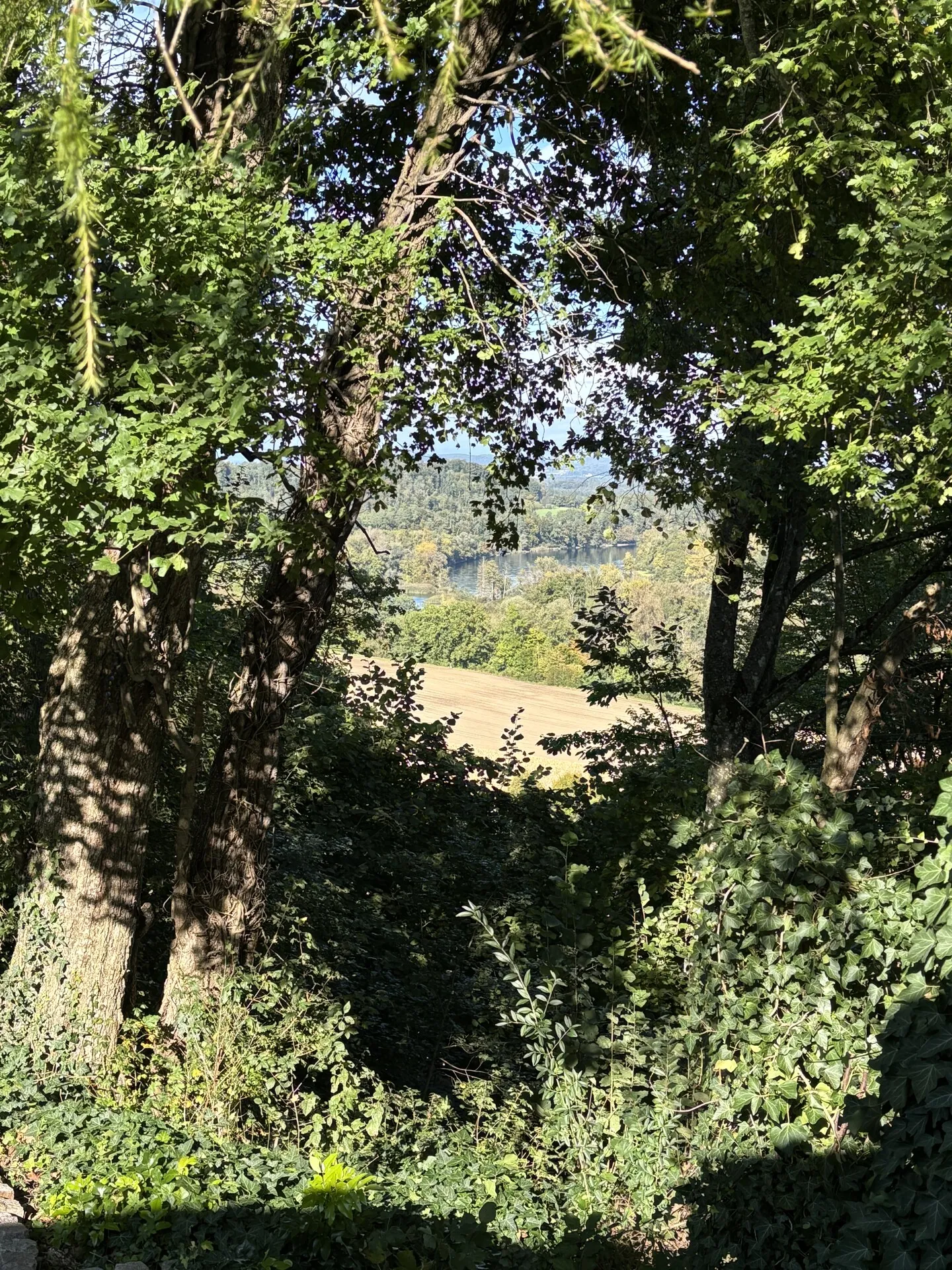 Charmante maison individuelle de 4,5 pièces avec beaucoup d'espace extérieur et vue sur le Rhin - Photo 5 sur 10