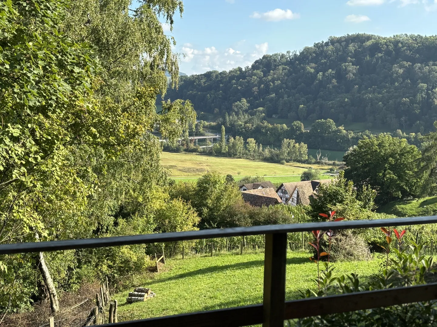 Charmante maison individuelle de 4,5 pièces avec beaucoup d'espace extérieur et vue sur le Rhin - Photo 6 sur 10