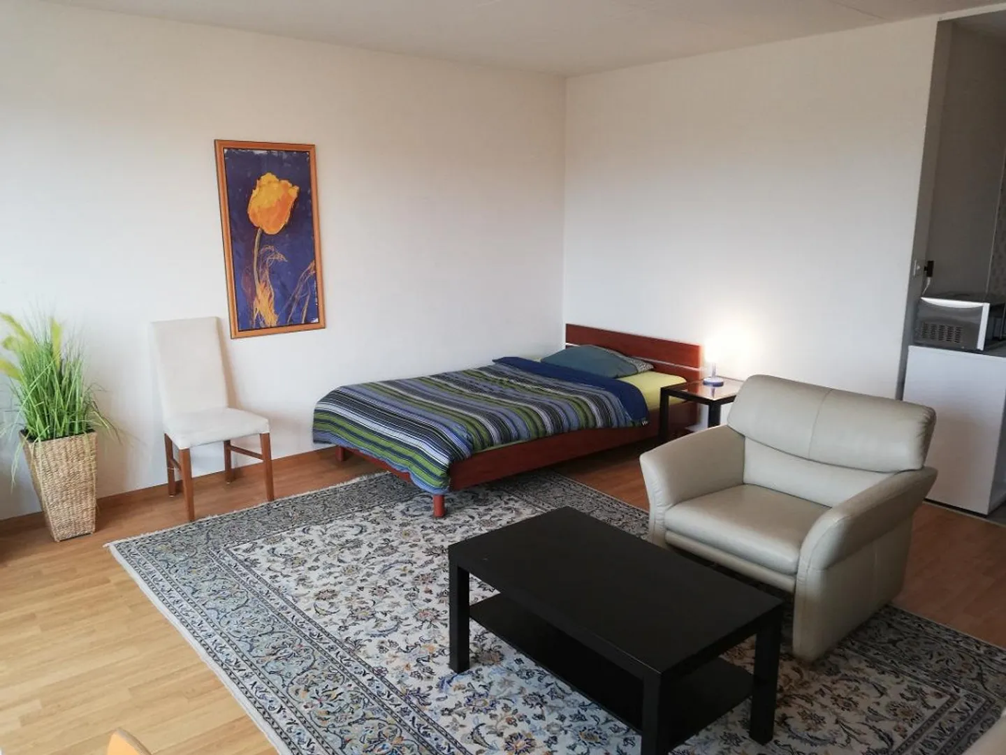 Big furnished apartment - Photo 1 of 12