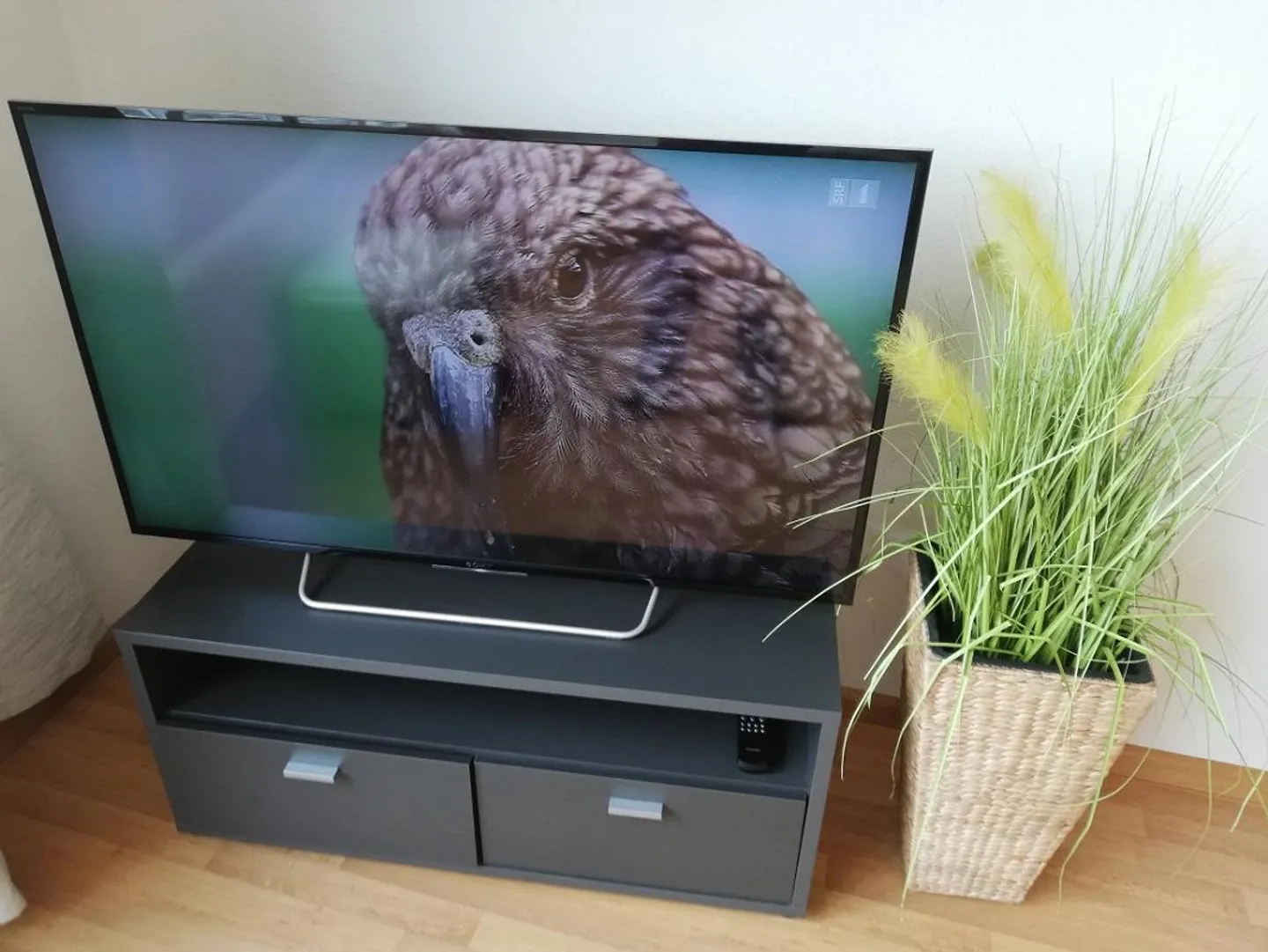 Big furnished apartment - Photo 10 of 12