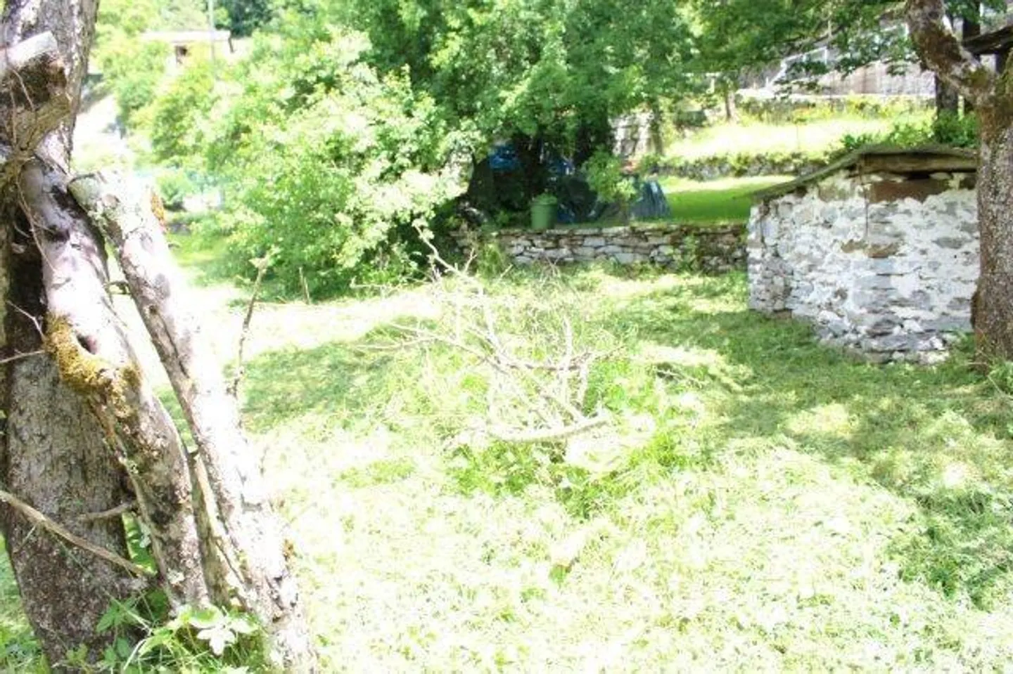 Entwicklungsmöglichkeit Rustico - Foto 11 von 16