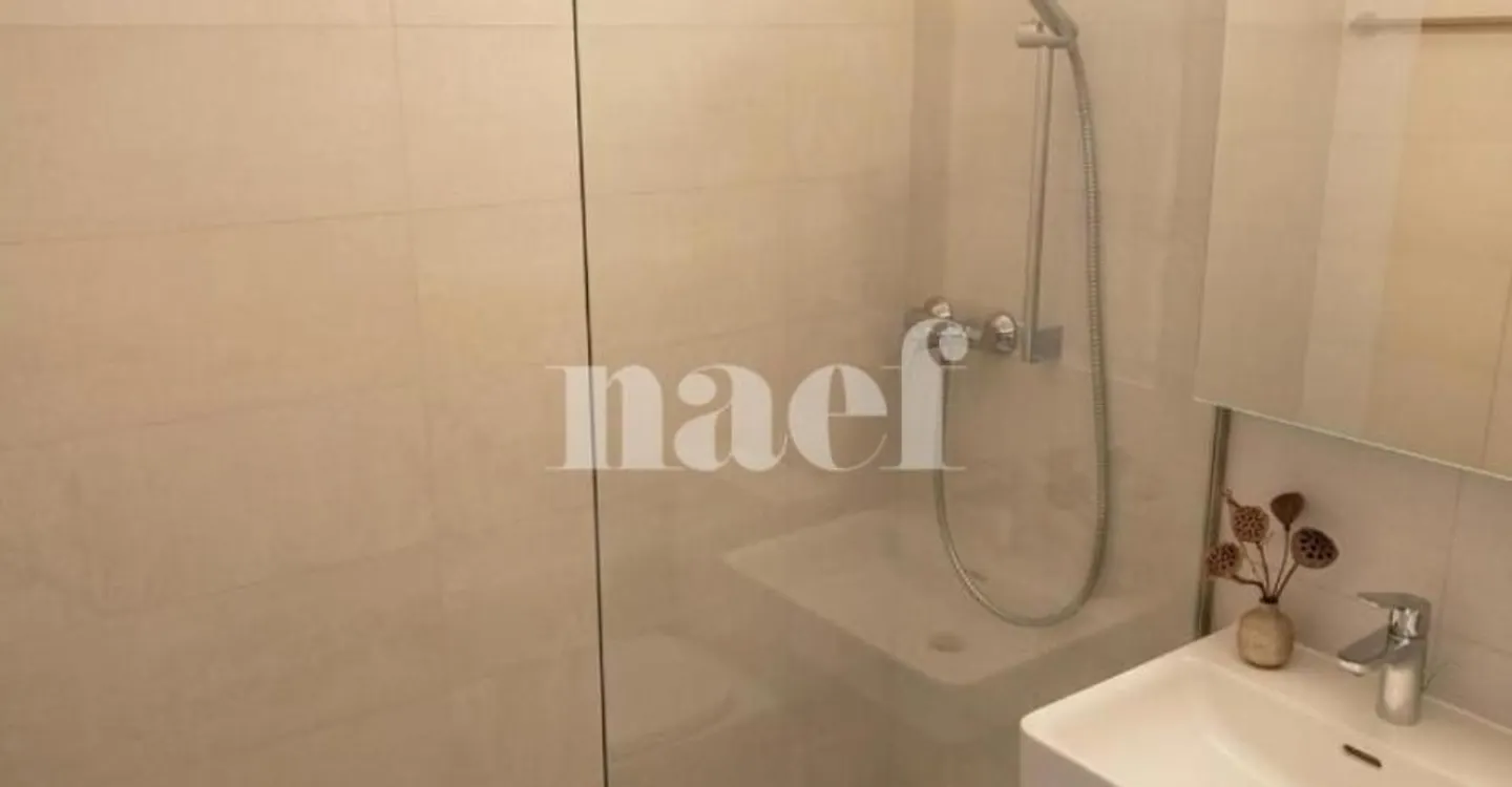 Magnificent 2-room apartment in La Chaux-de-Fonds - Photo 4 of 4