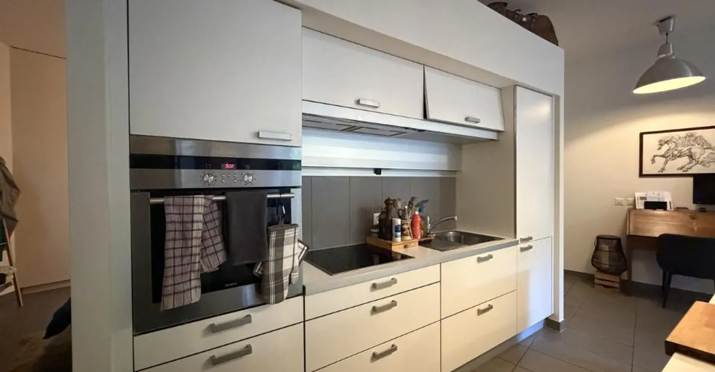 Magnificent loft in downtown Lausanne - Photo 4 of 10