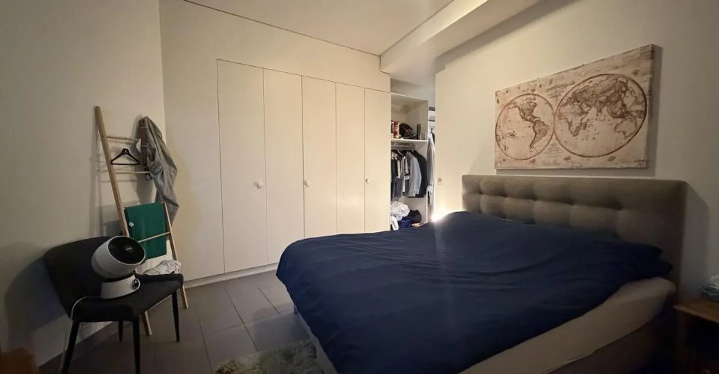 Magnificent loft in downtown Lausanne - Photo 7 of 10