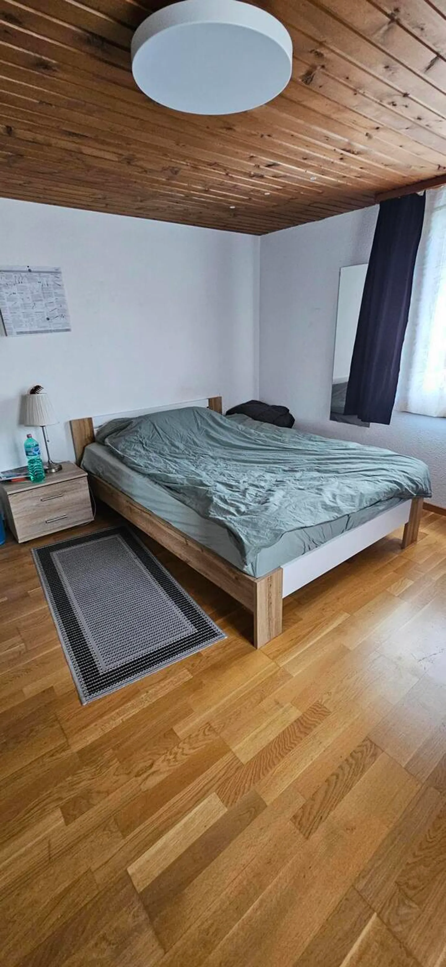 Spacious 4.5-Room Apartment - Photo 8 of 10