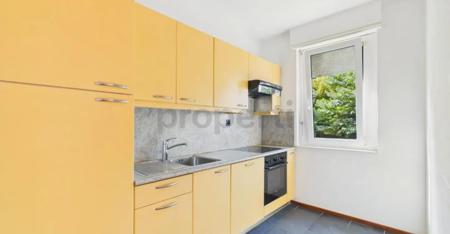 2,5-Zimmer-Wohnung mit Seeblick, Gemeinschaftspool und 360°-Dachterrasse in Paradiso! - Foto 3 von 9