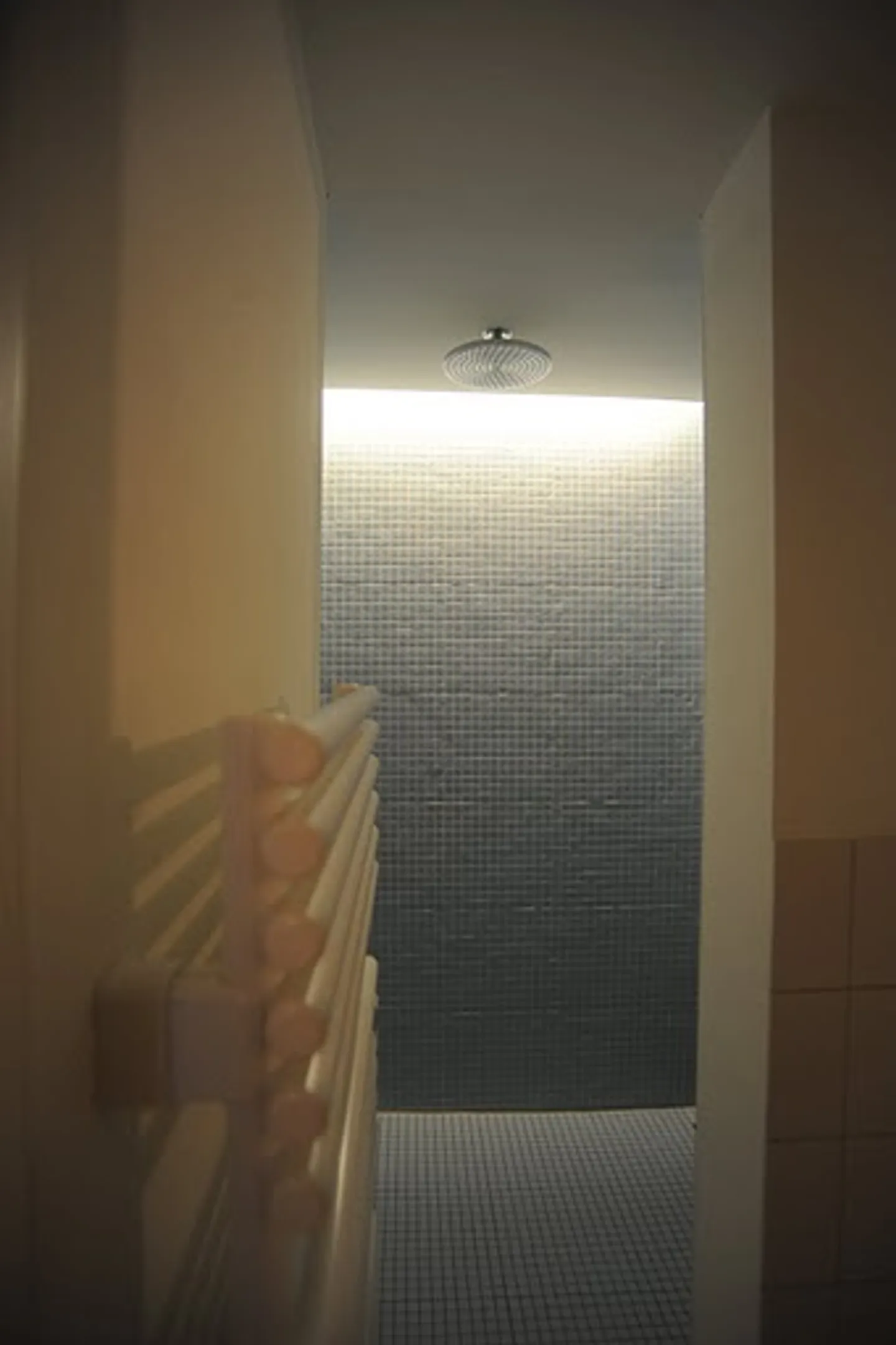 Appartamento 2.5 stanze - Foto 9 di 10