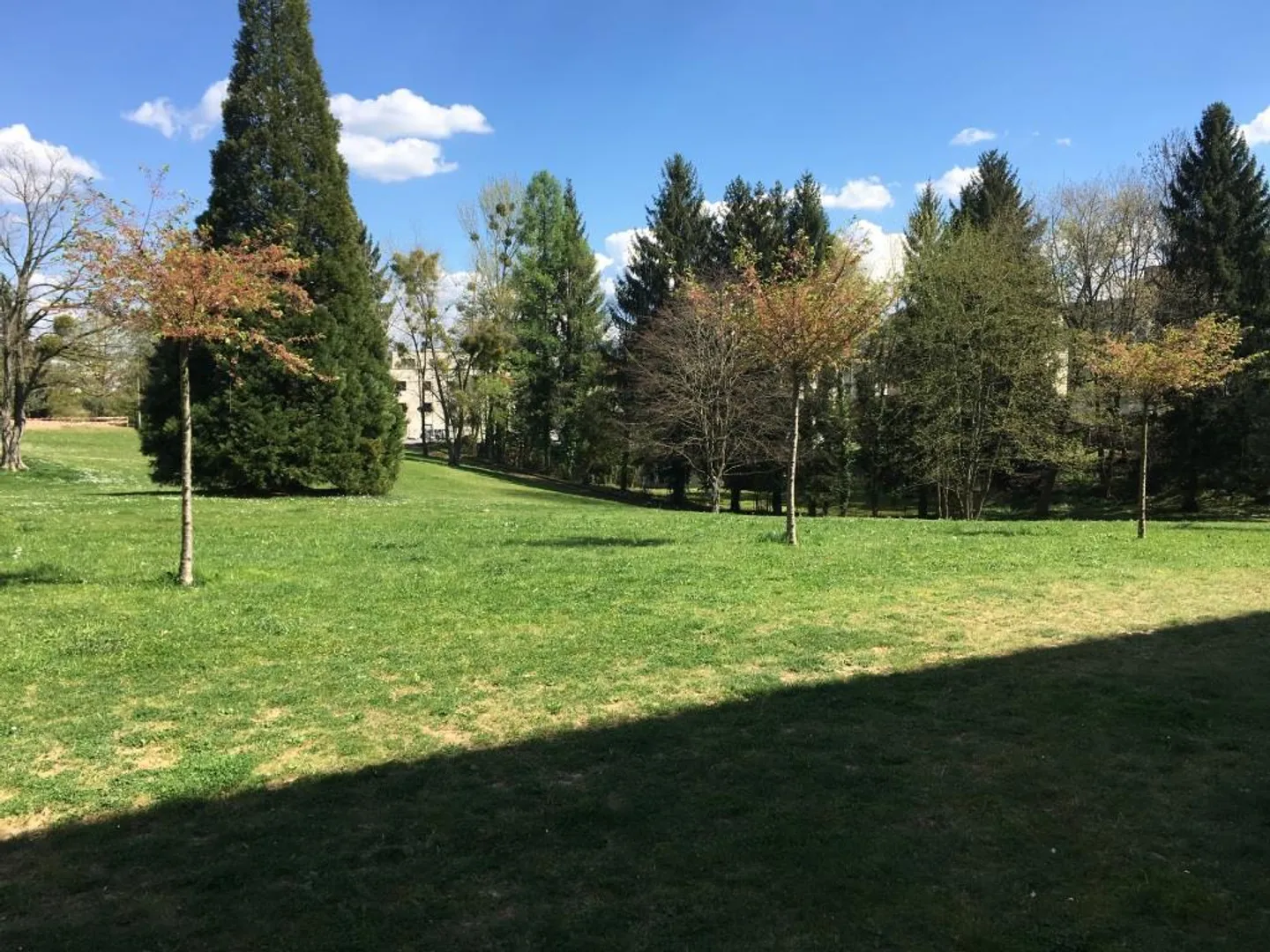 LOCATION WITH FREE DEPOSIT! - 3.5 rooms close to all amenities - Photo 2 of 7