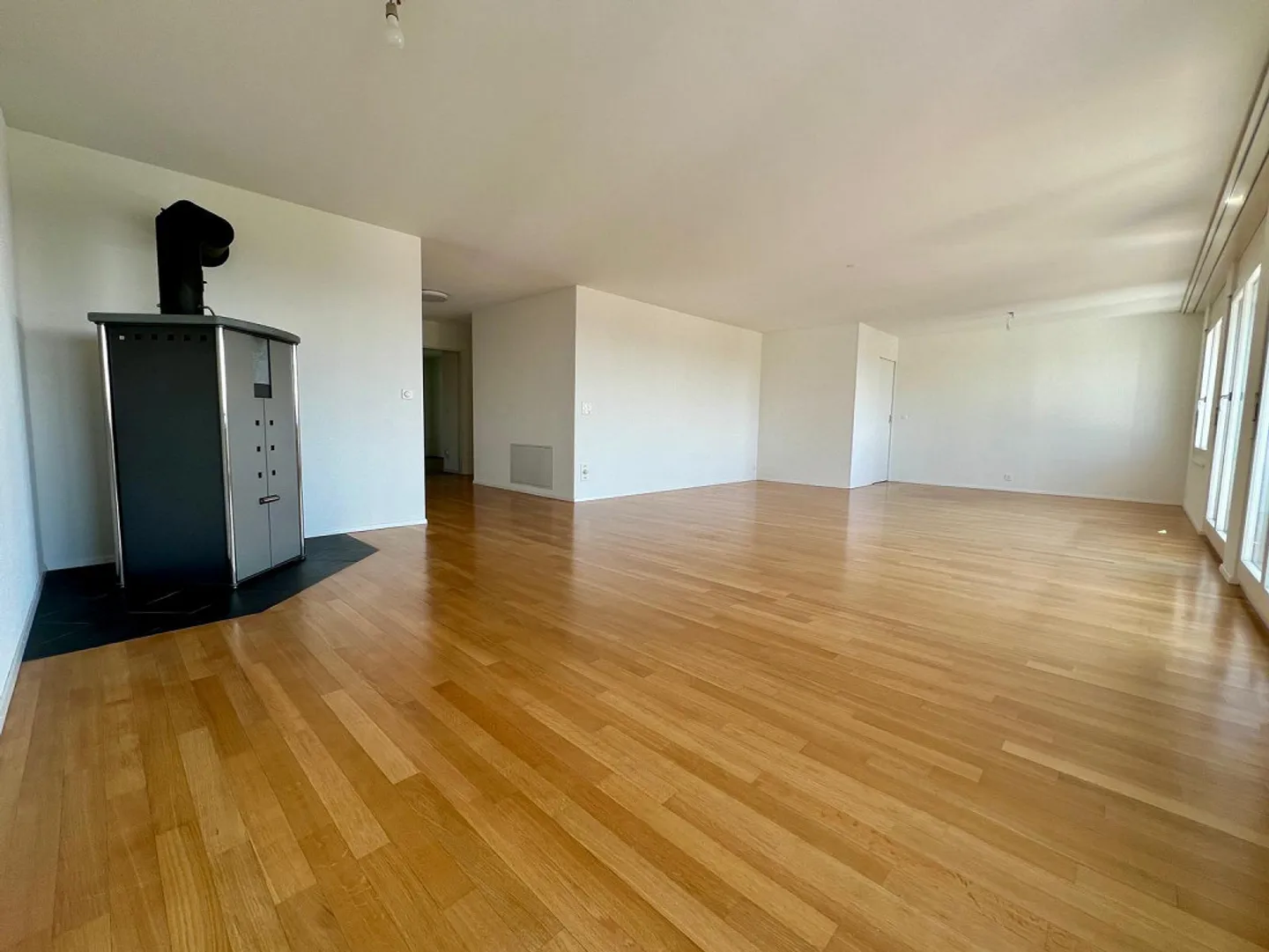 Newly renovated, spacious 4.5 room apartment with great views - Photo 1 of 24