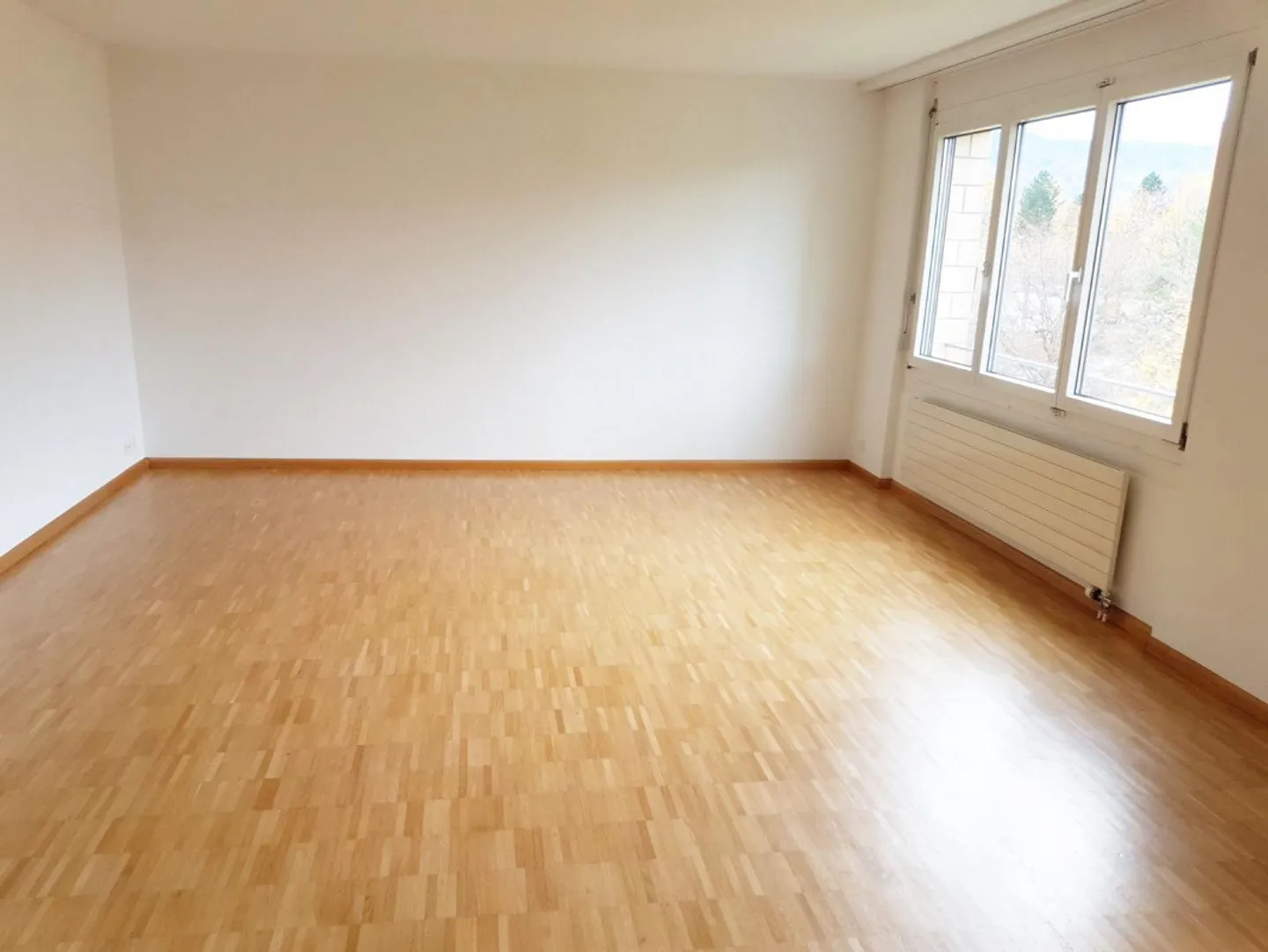 Geräumige 4.5-Zimmerwohnung - Foto 5 von 6
