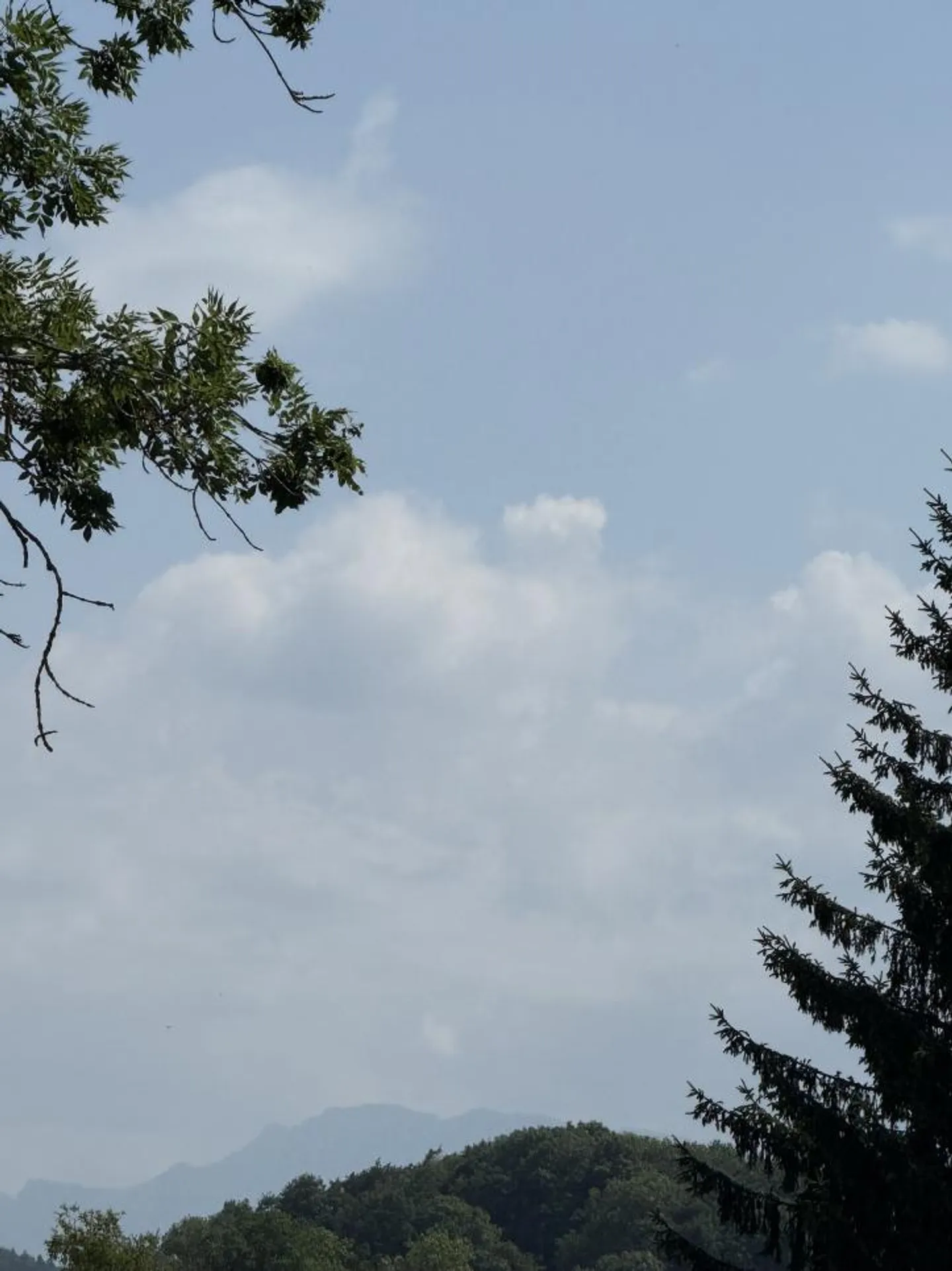 Appartamento in vendita - Foto 12 di 13