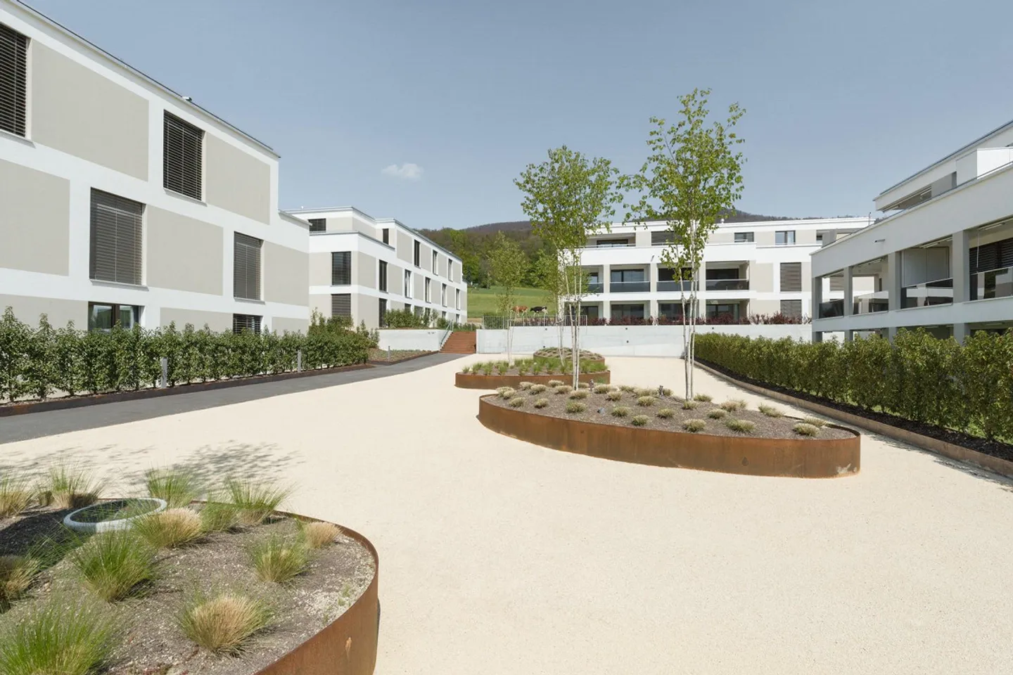 Oasi abitativa cerca nuovo inquilino! - Foto 1 di 9