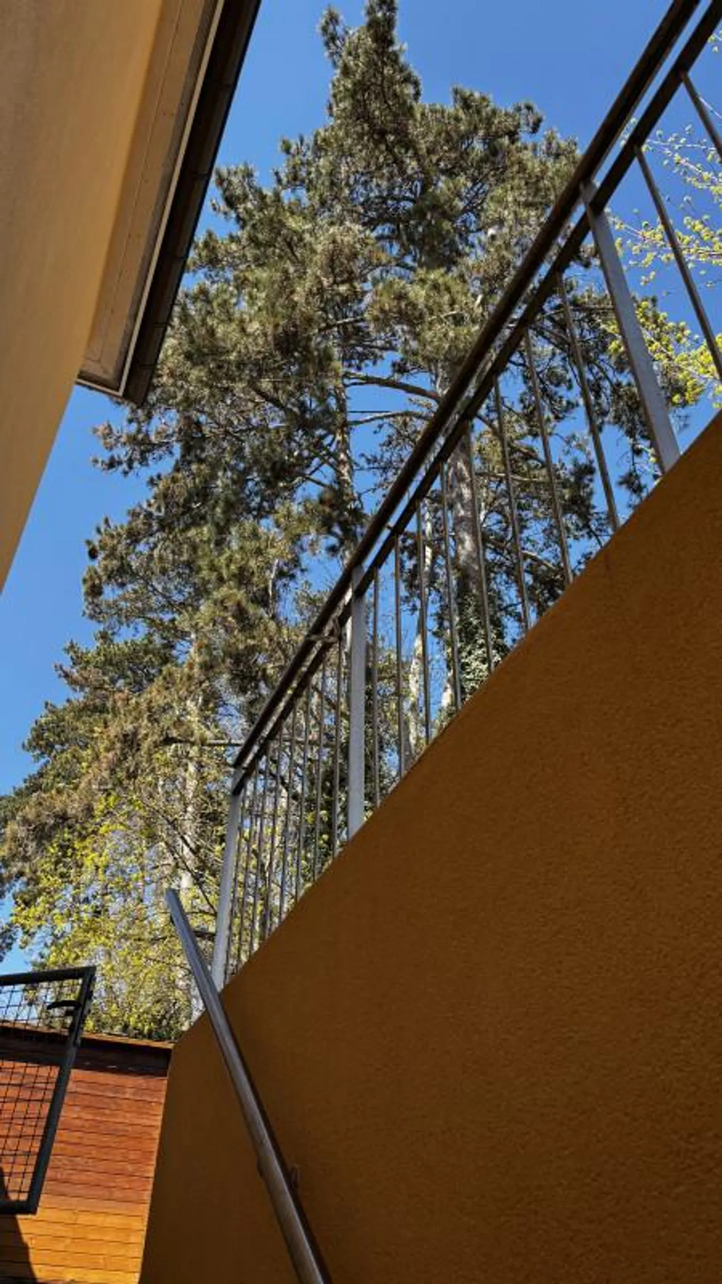 Charming house ideal for family/Expats - Photo 7 of 8