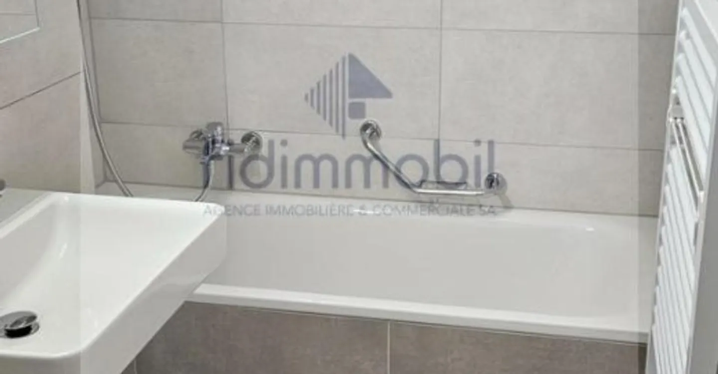 Appartement lumineux rénové - Photo 4 sur 6