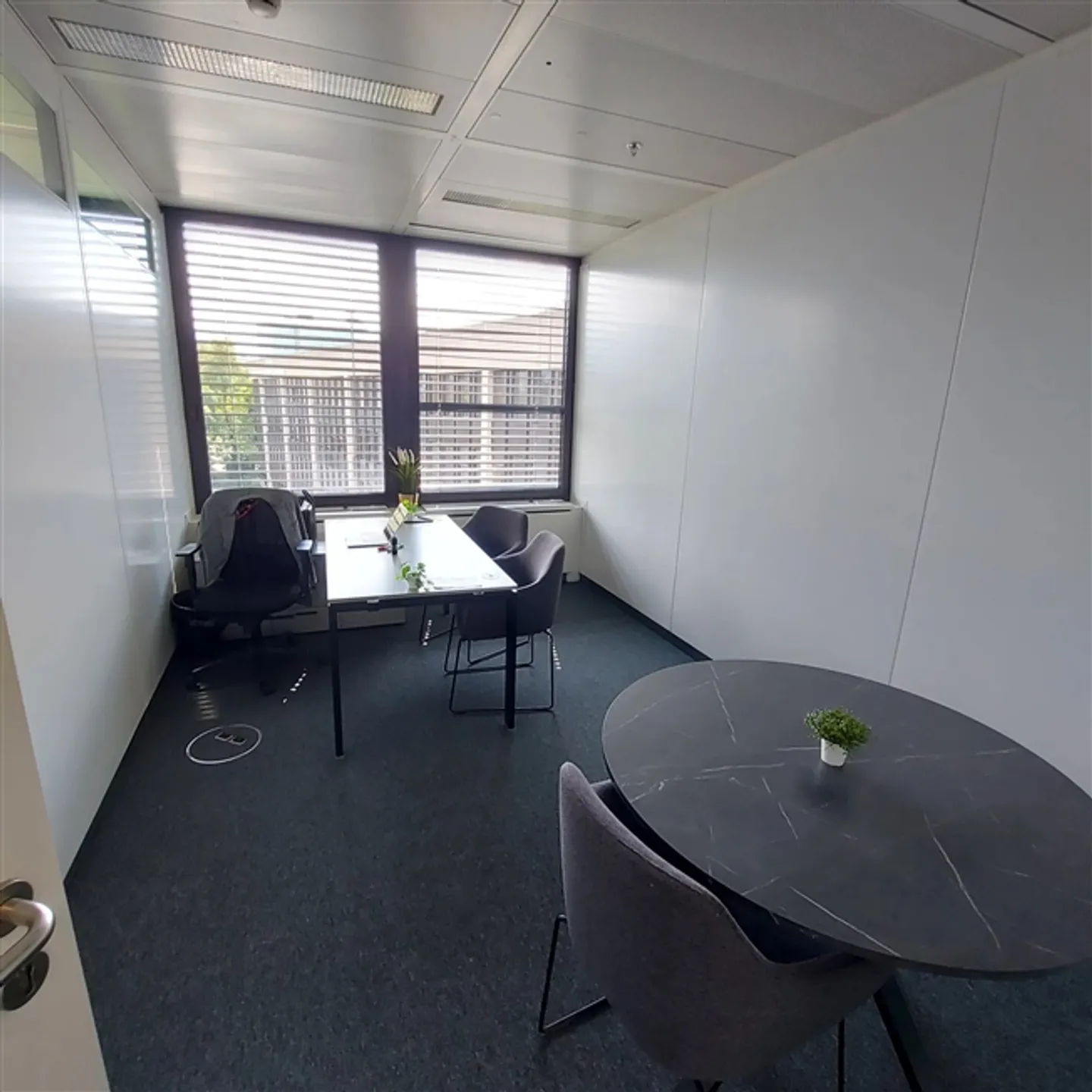 Spacious Offices in Lancy - Photo 2 of 7