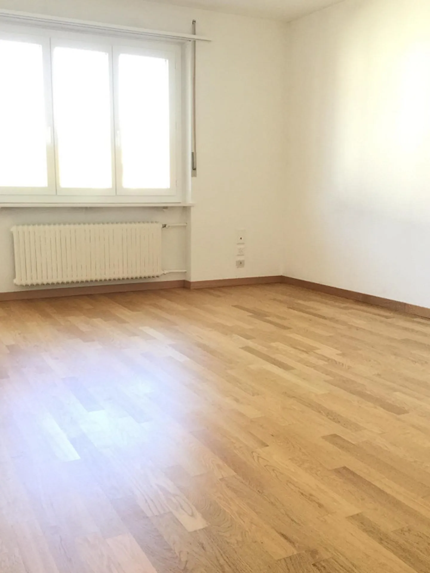 Charmante Wohnung an zentraler Lage in Küssnacht am Rigi - Foto 2 von 7