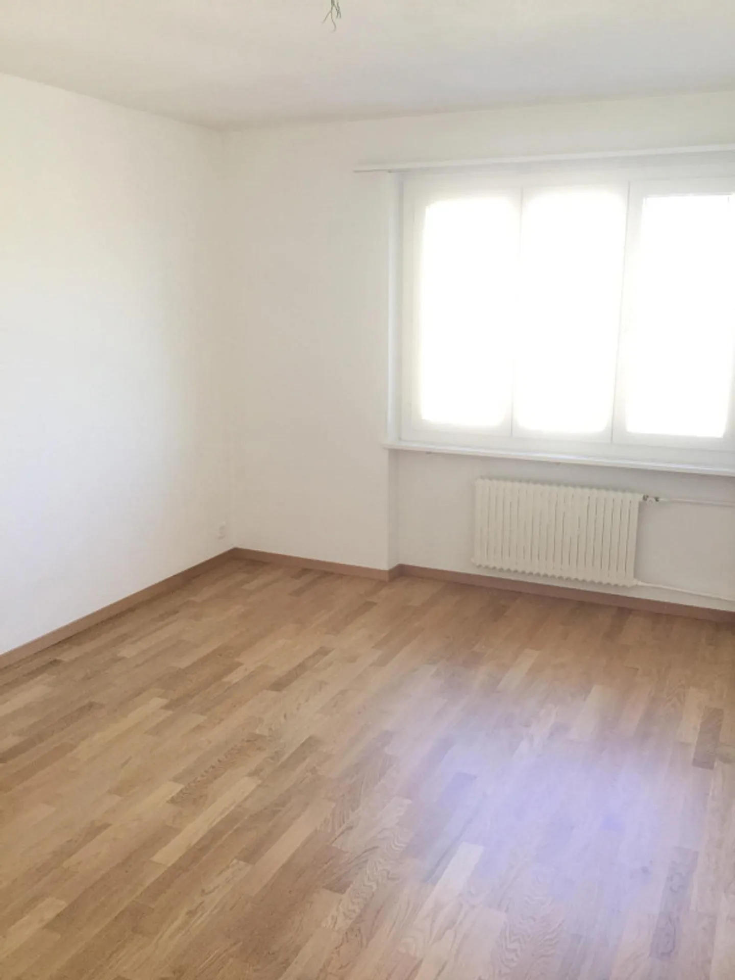 Charmante Wohnung an zentraler Lage in Küssnacht am Rigi - Foto 4 von 7