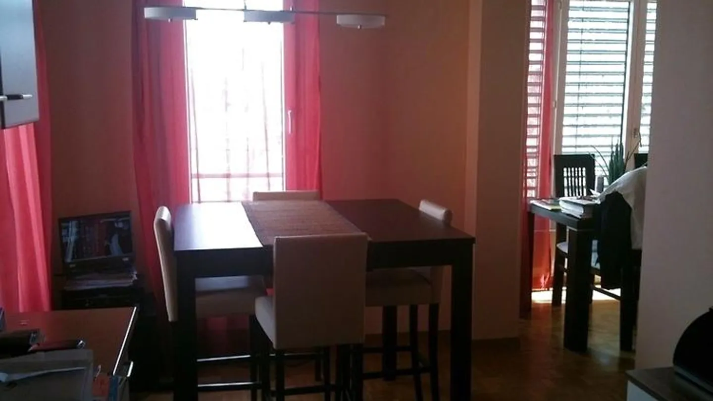 3-ZIMMER-WOHNUNG IN GENF - CHÂTELAINE, MÖBLIERT - Foto 5 von 10