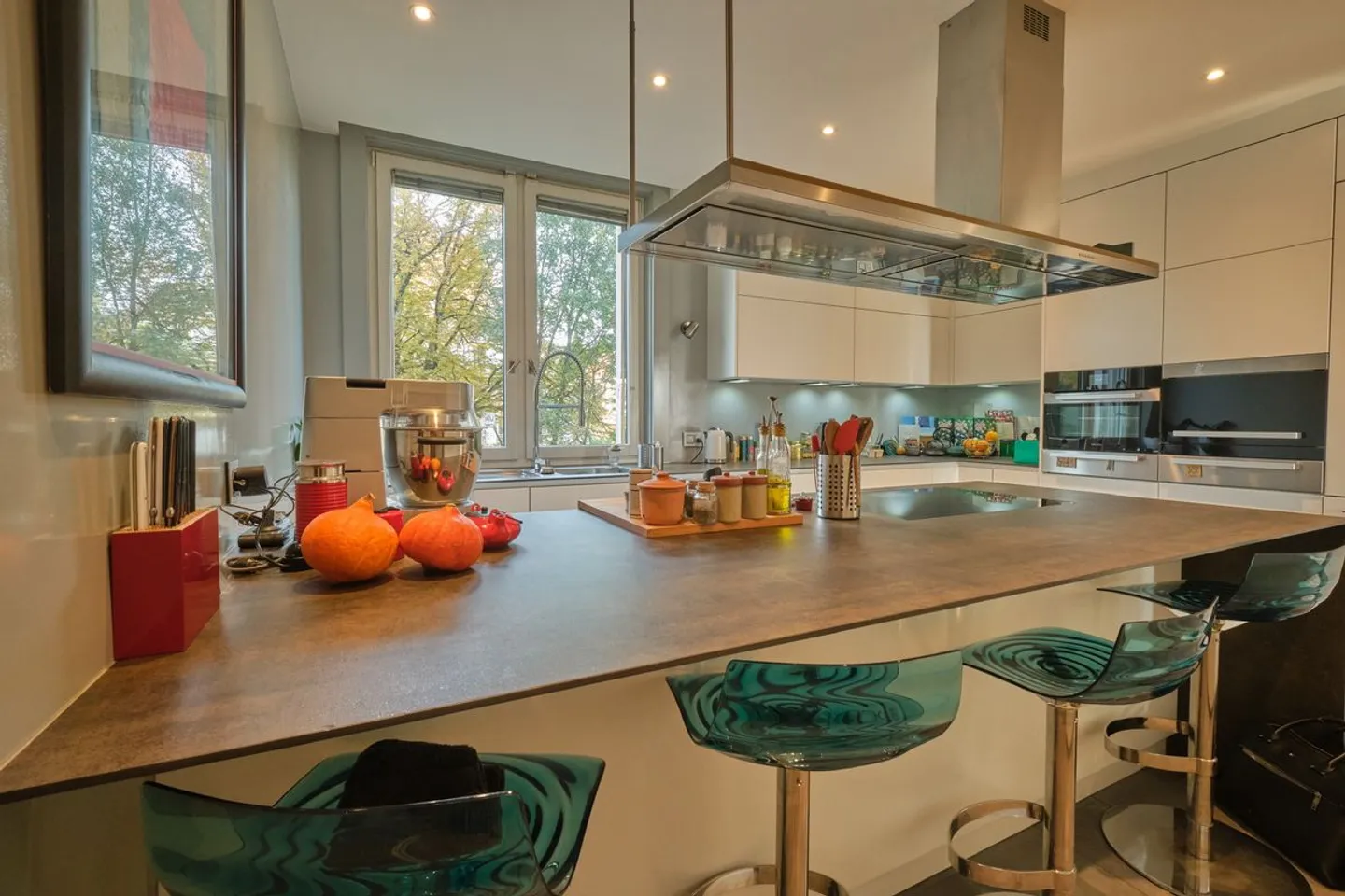 Probably the most beautiful address in Lausanne - Photo 5 of 13