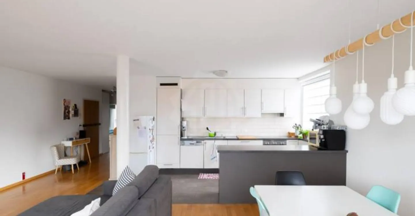 Charming apartment - Plan-les-Ouates - Photo 4 of 10