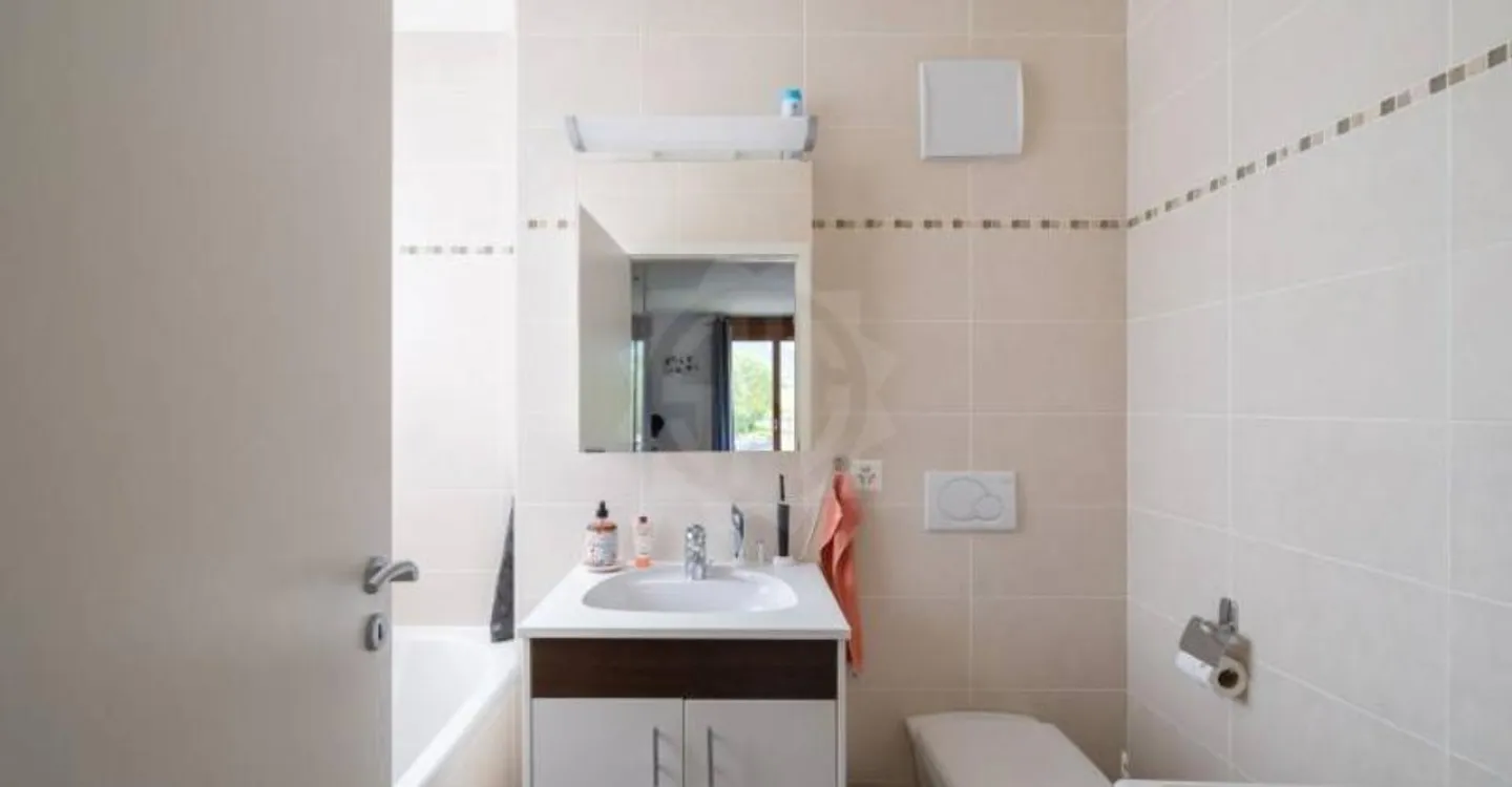 Charming apartment - Plan-les-Ouates - Photo 9 of 10