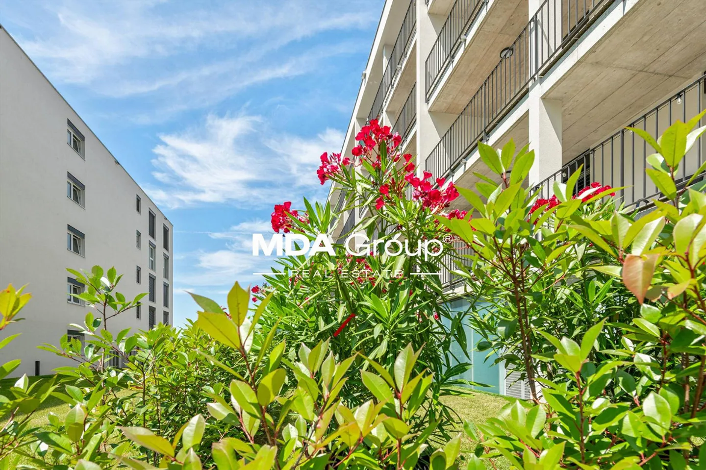 Apartment - Mendrisio - Photo 3 of 12