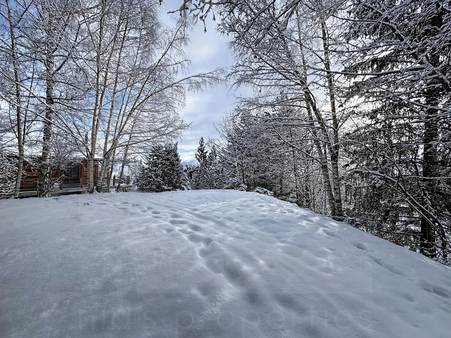 Chalet Incantevole ad Anzère - Foto 3 di 3