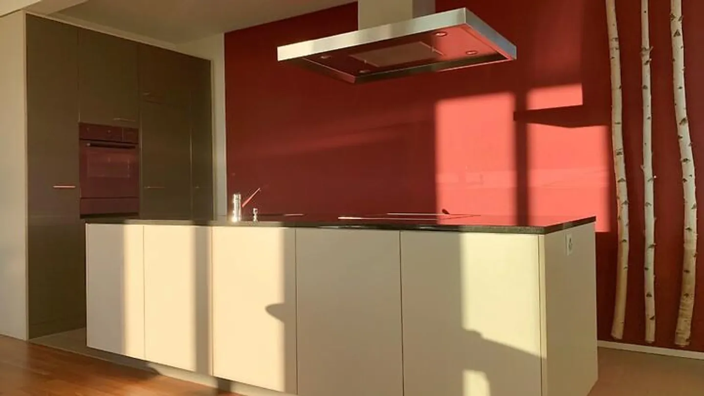 APPARTEMENT 2½ PIÈCES À WINTERTHUR - OBERWINTERTHUR, MEUBLÉ, TEMPORAIRE - Photo 2 sur 4