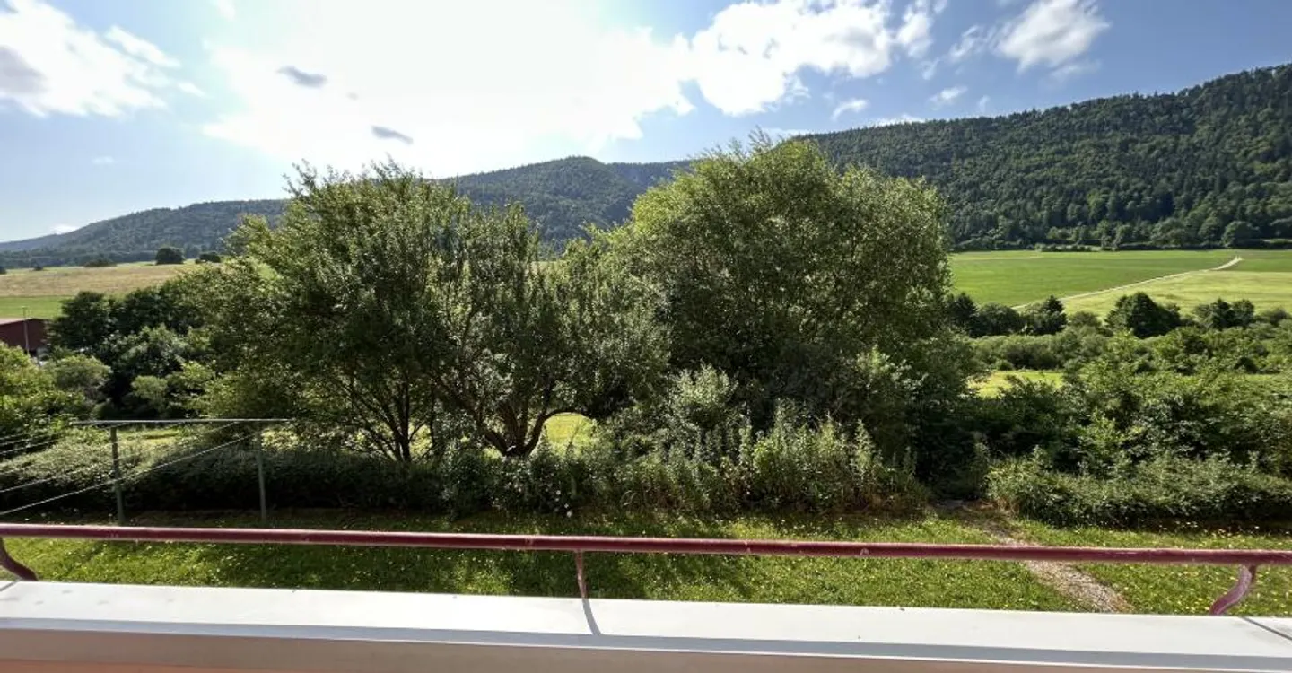 Charmante 2.5 Zimmer Wohnung - Foto 4 von 5