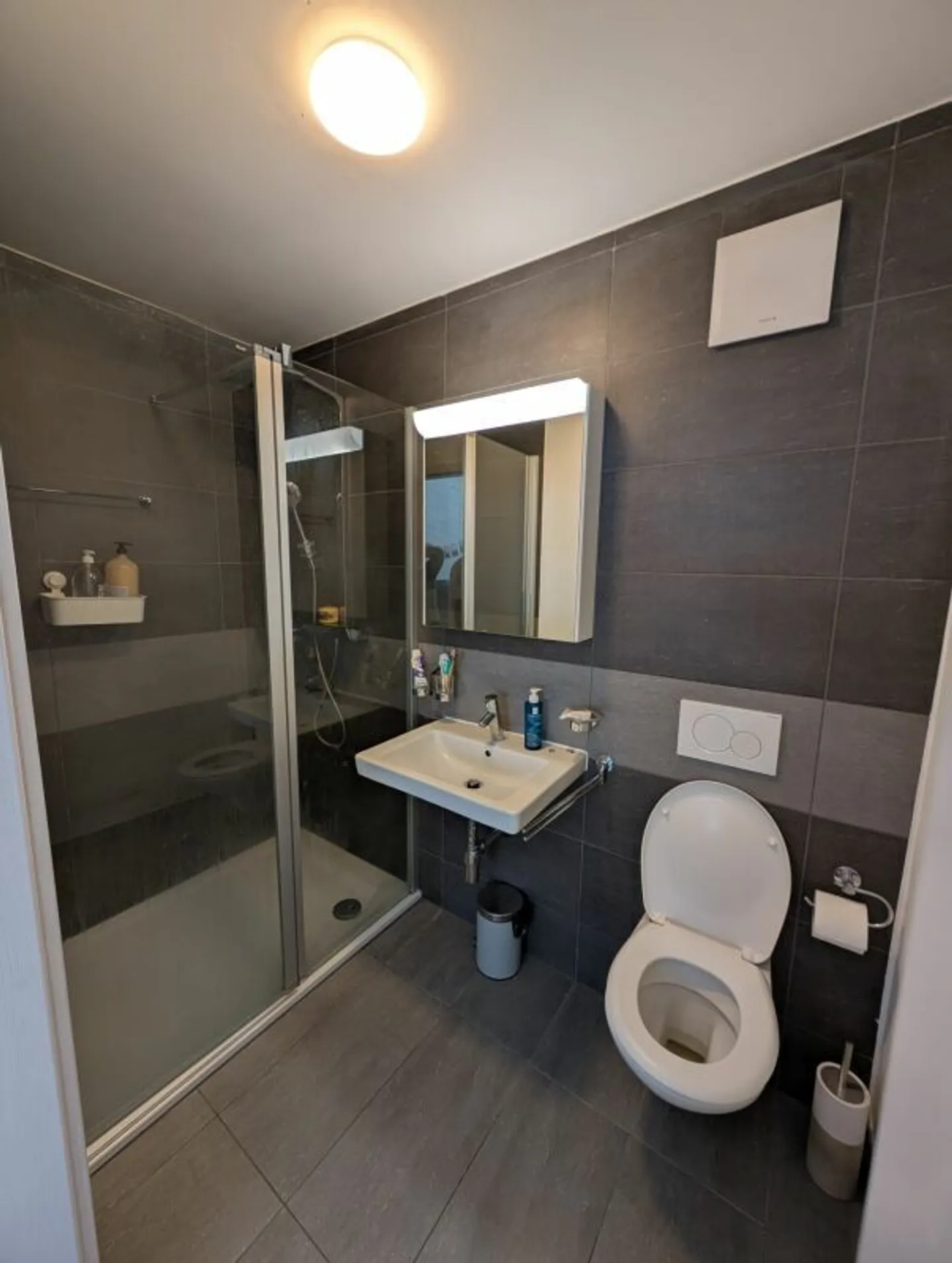 3.5 rooms on the ground floor with terrace and parking spaces - Photo 8 of 10