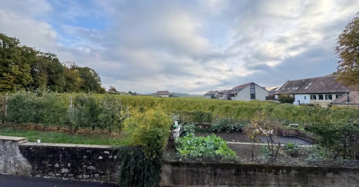 Etoy - Schönes 2,5-Zimmer-Apartment von 65 m2 mit Blick auf die Weinberge - Foto 8 von 8
