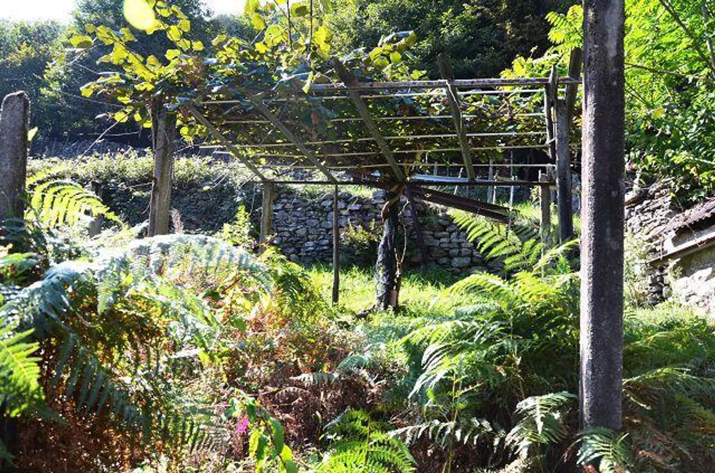Deux granges à développer avec vignoble et beaucoup de terrain - Photo 18 sur 34