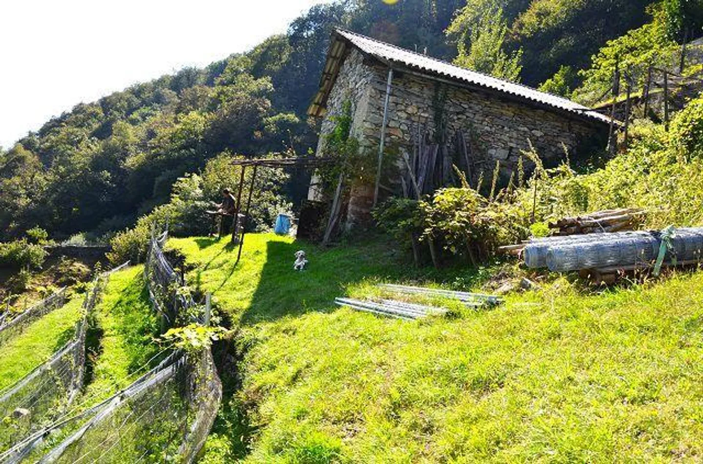 Deux granges à développer avec vignoble et beaucoup de terrain - Photo 28 sur 34
