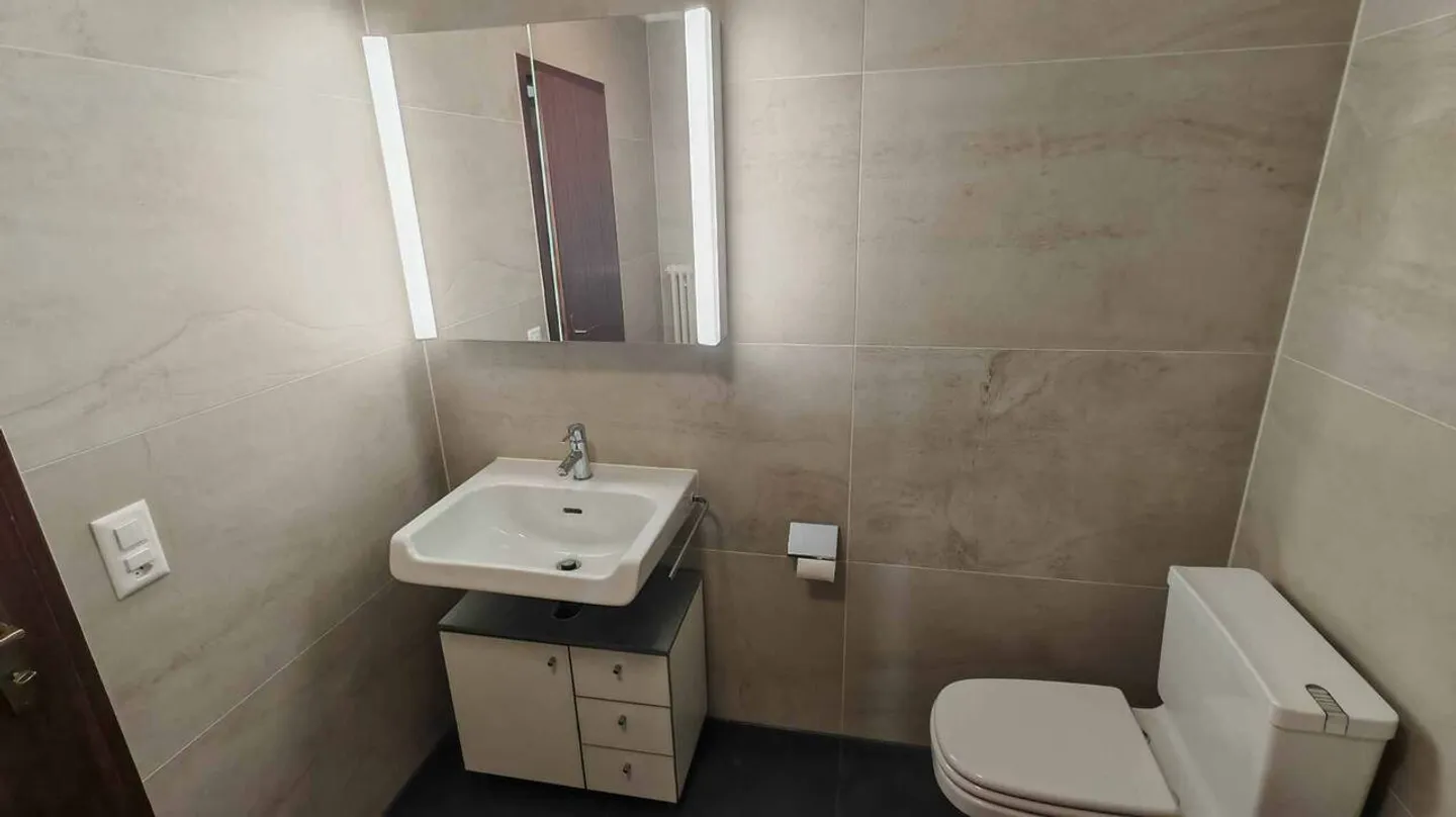 Appartamento in affitto - Foto 3 di 12