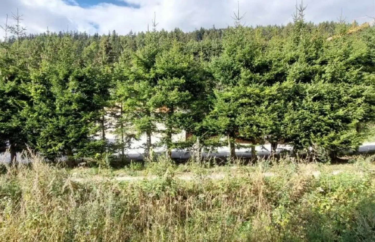 Studio Confortable Près des Remontées - Photo 6 sur 6