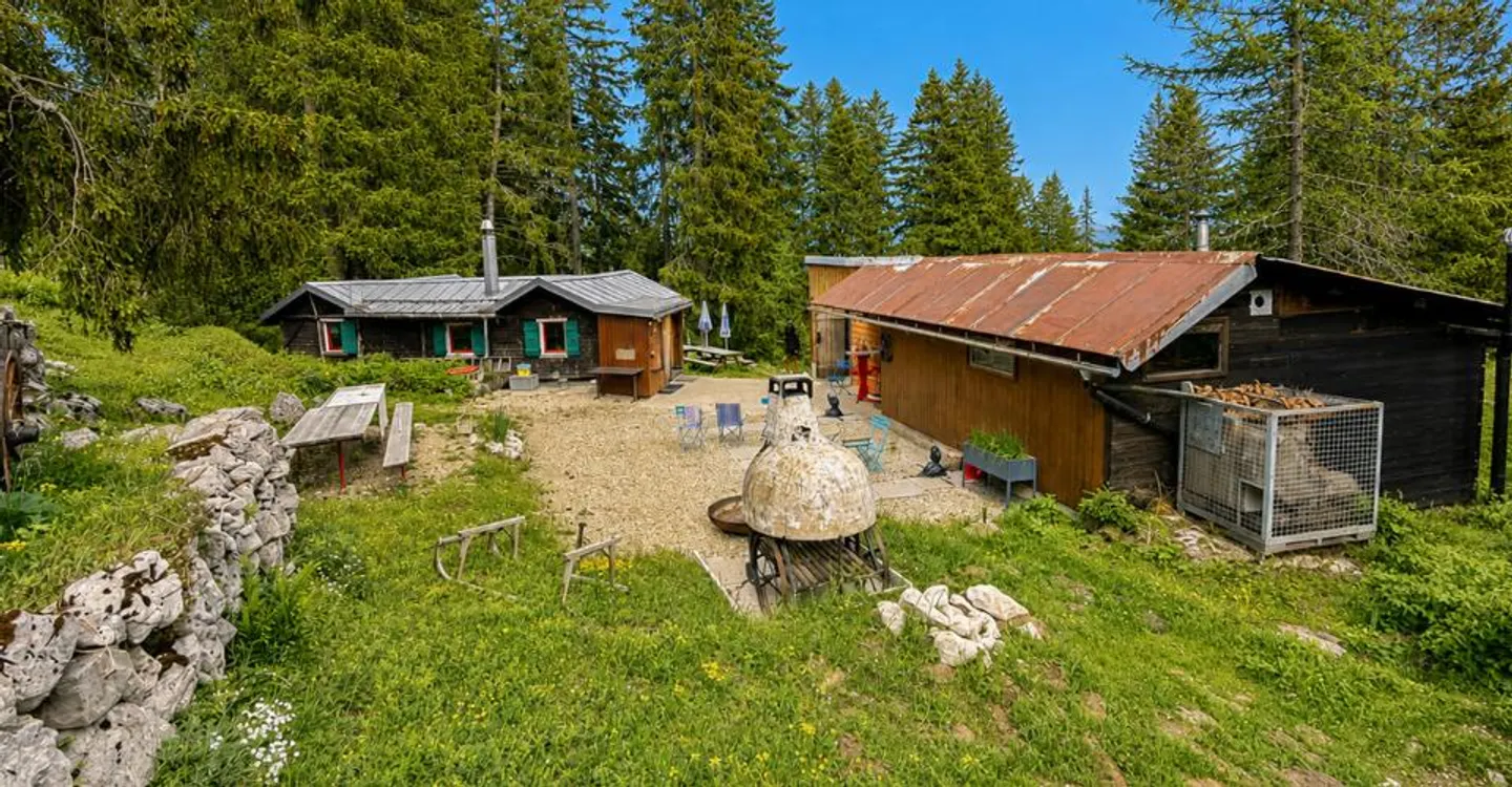 Alpenbuvette in der Natur - Foto 4 von 13