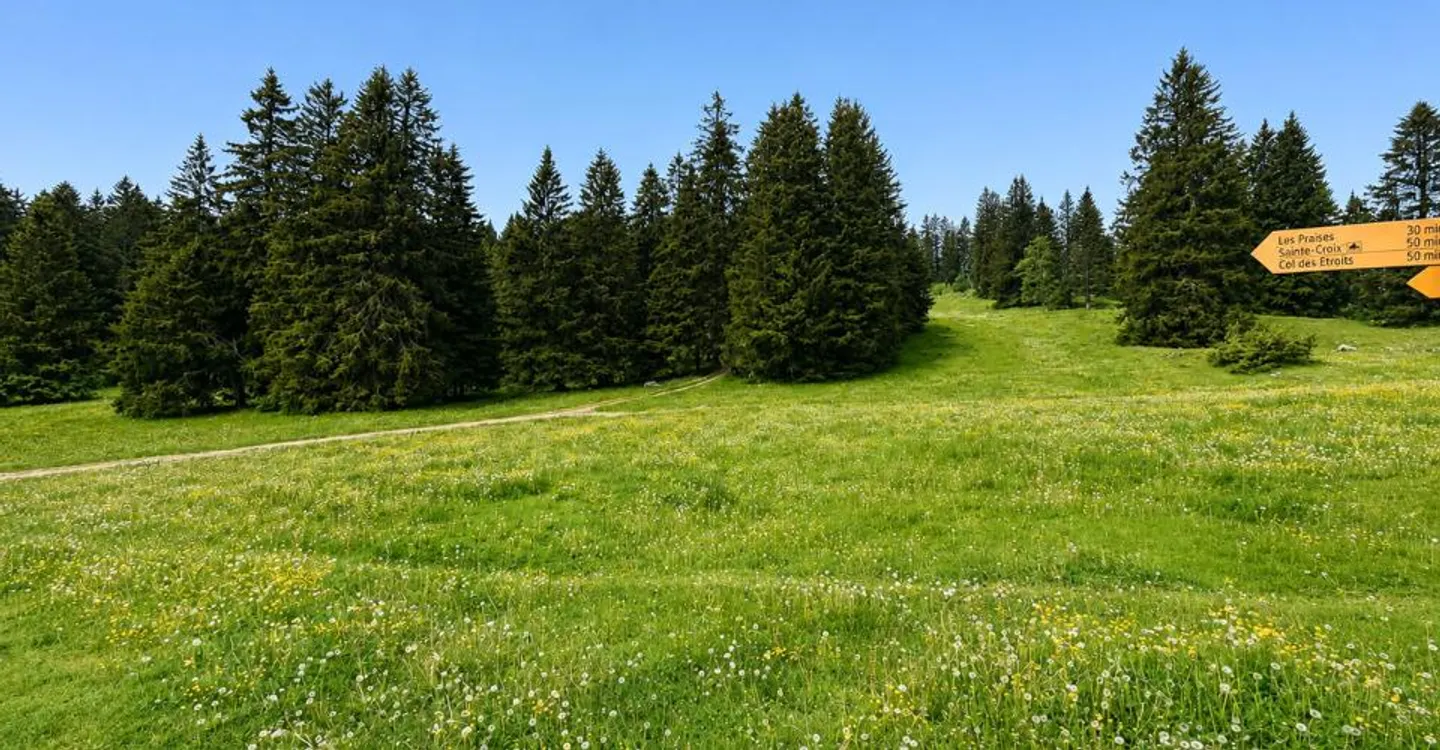Alpenbuvette in der Natur - Foto 5 von 13