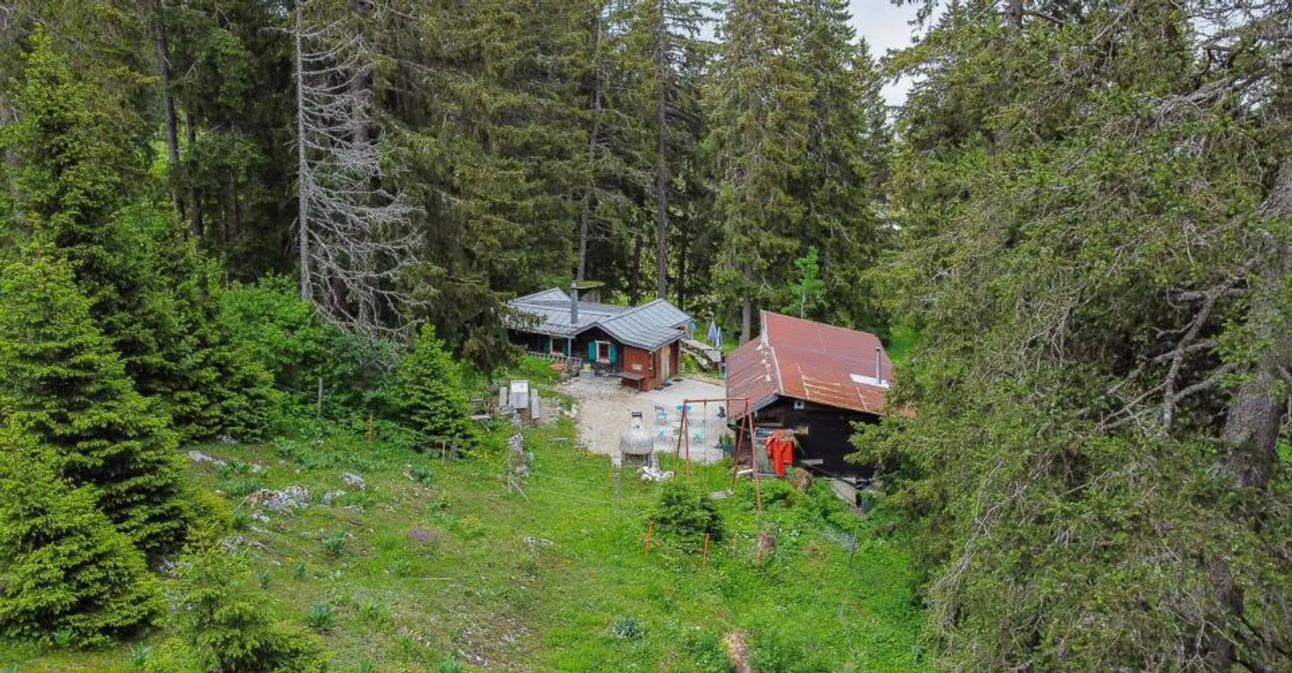 Alpenbuvette in der Natur - Foto 6 von 13