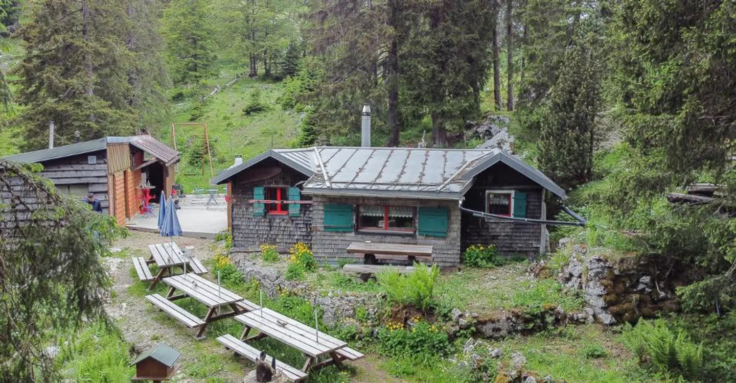 Alpenbuvette in der Natur - Foto 7 von 13