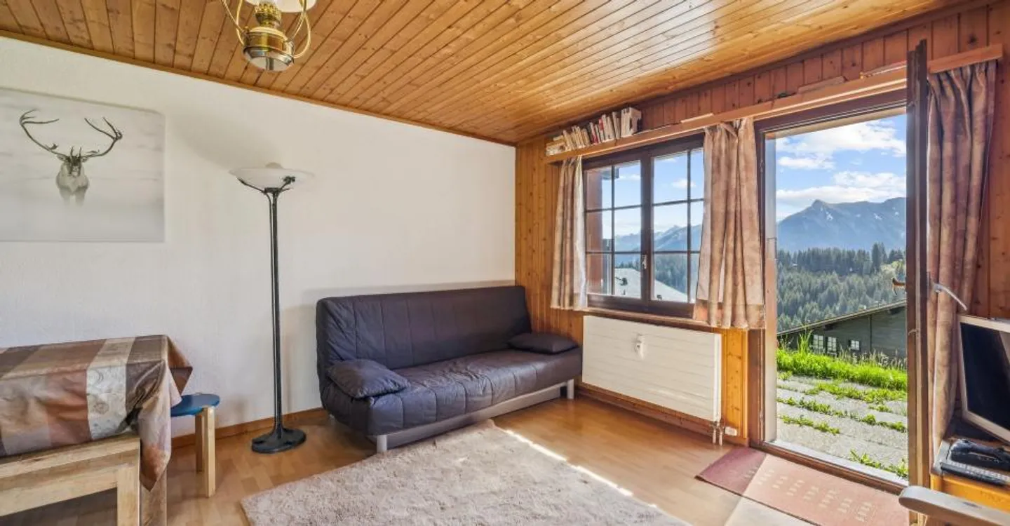 Charming 2-room apartment with terrace and mountain view - Photo 3 of 8