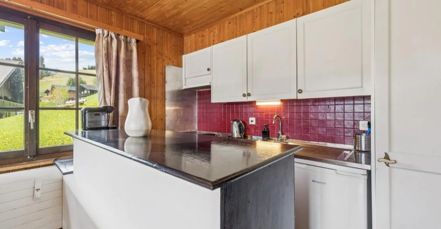 Charming 2-room apartment with terrace and mountain view - Photo 5 of 8