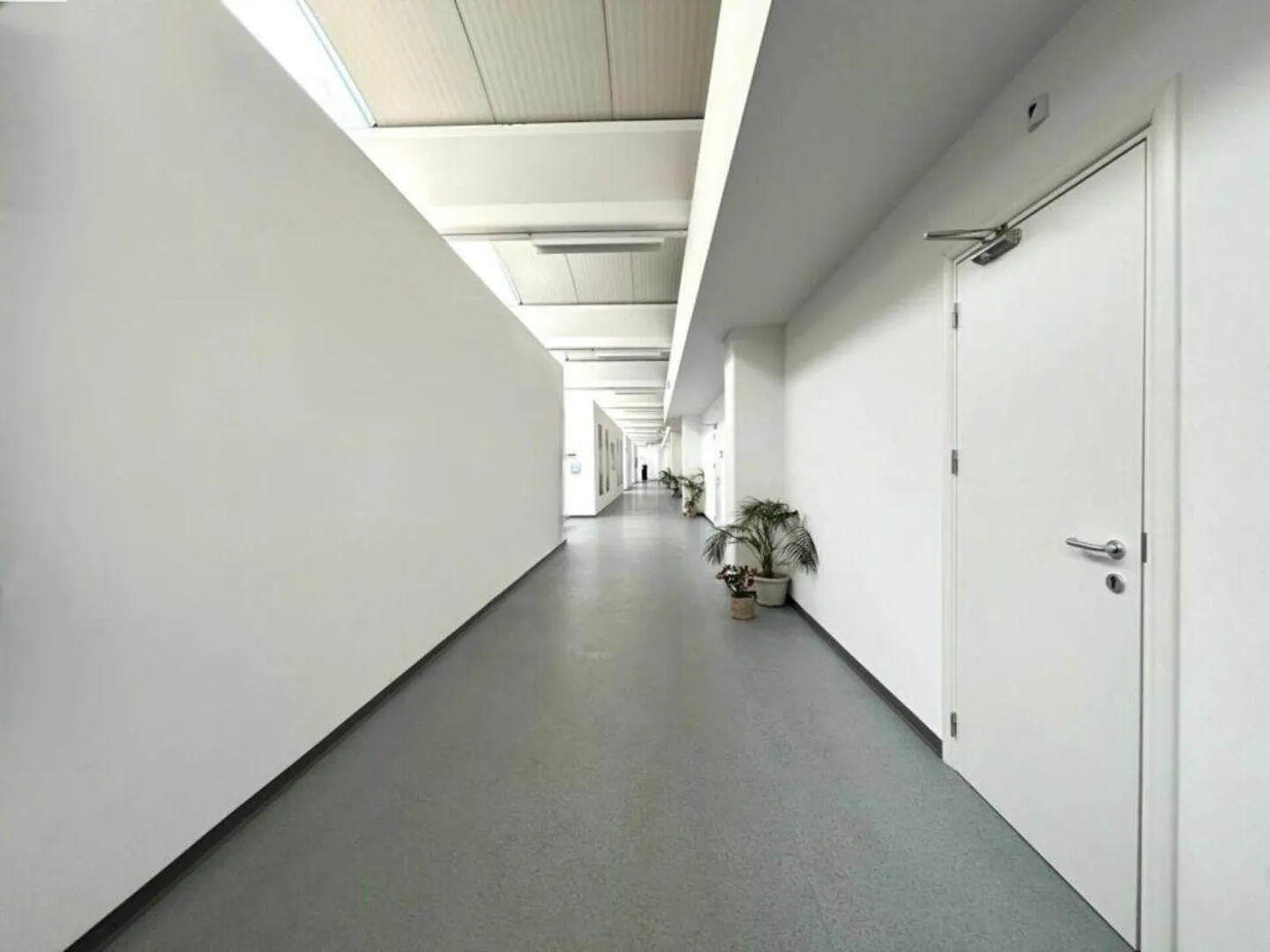 Office, laboratory, storage spaces, etc. - Photo 7 of 8