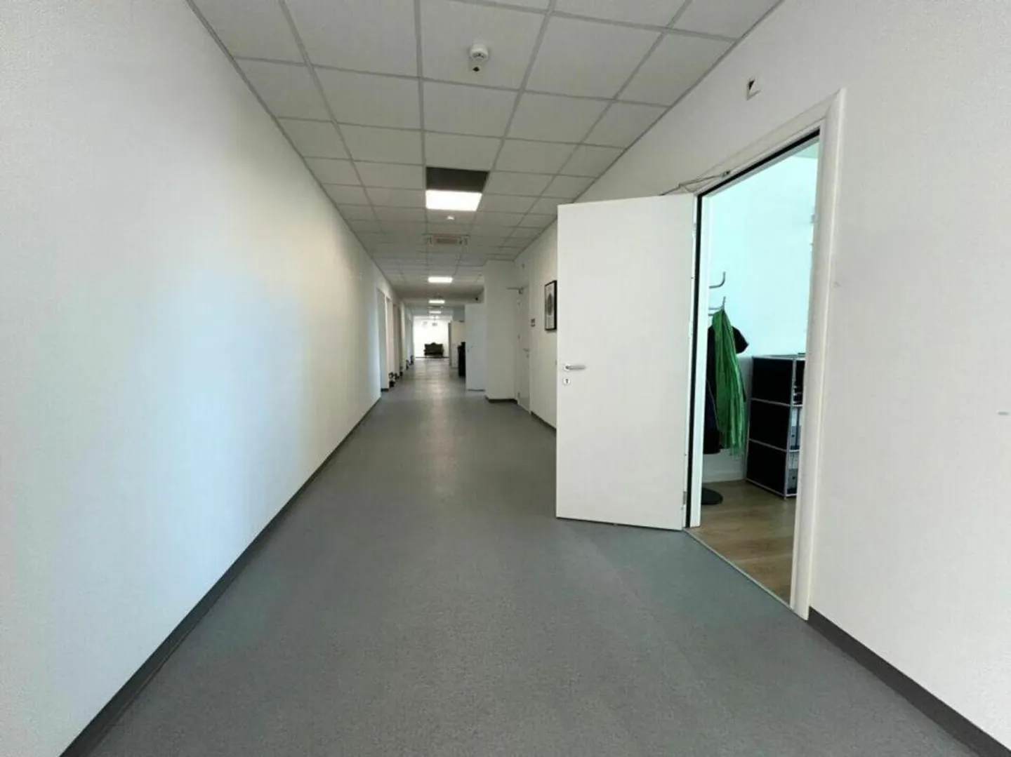 Office, laboratory, storage spaces, etc. - Photo 8 of 8