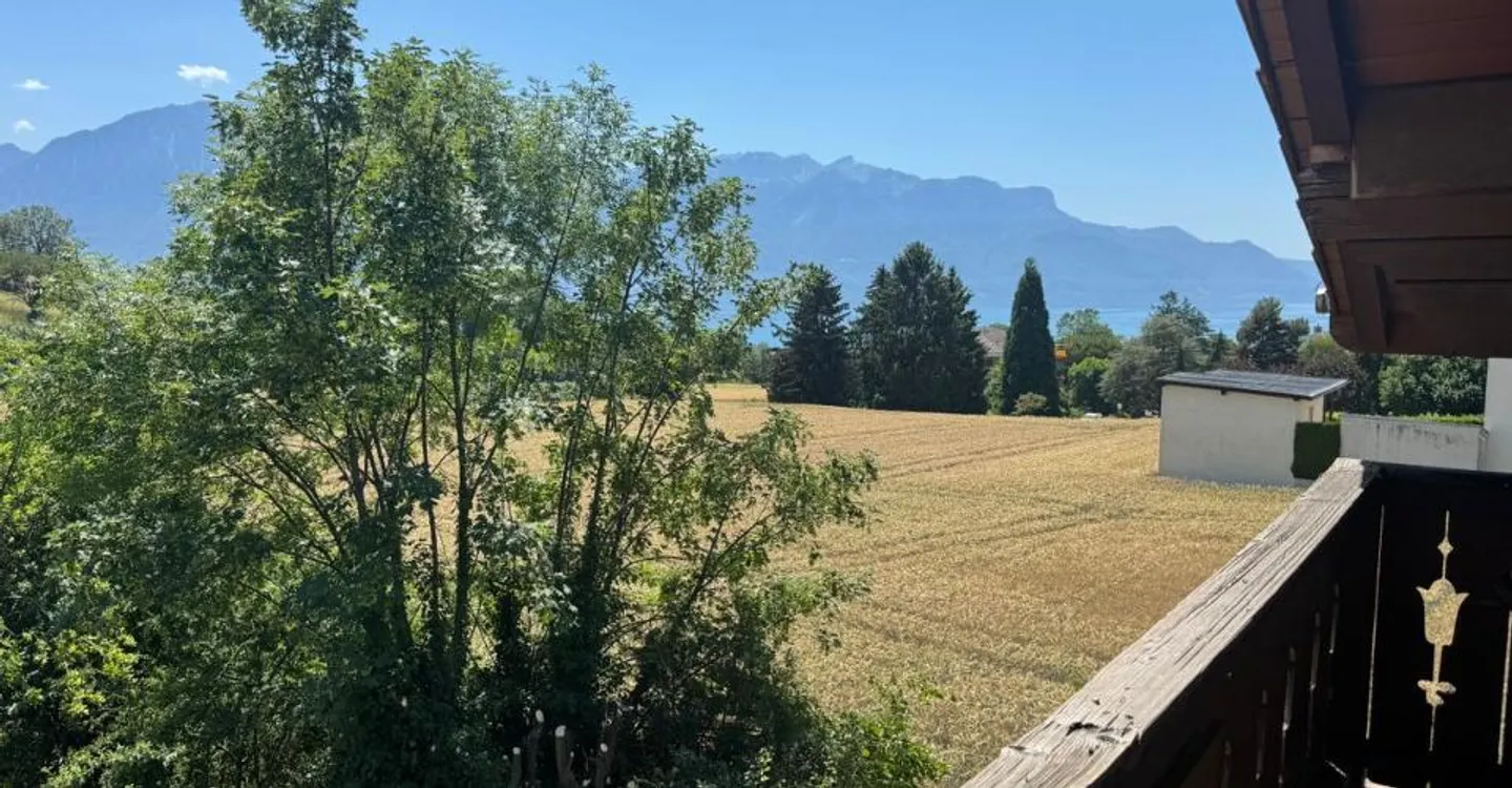 Schönes Chalet mit 4-5 Zimmern und Blick auf den See und die Dents-du-Midi - Foto 4 von 11